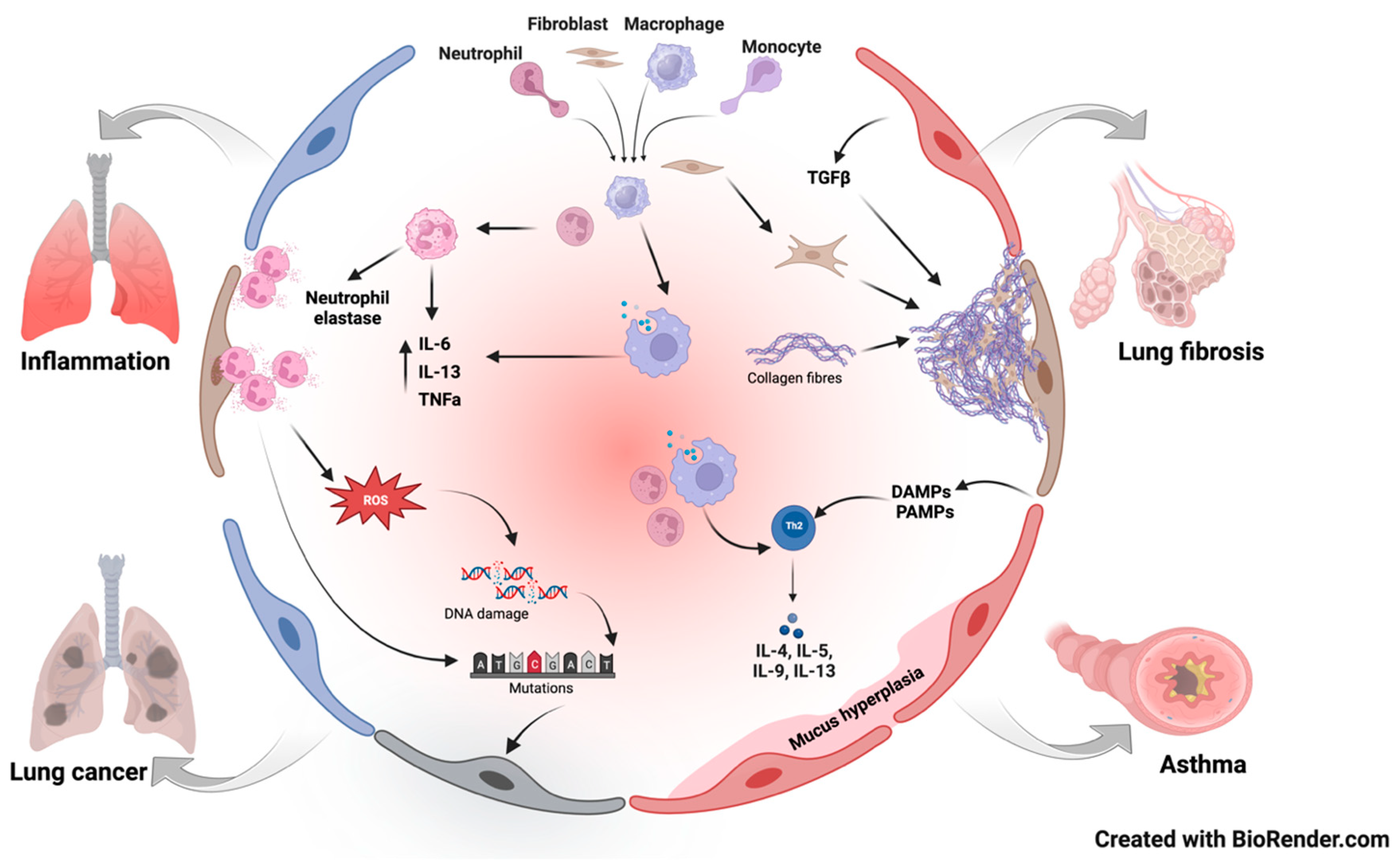 Targets 03 00014 g002 Targets 03 00014 g002