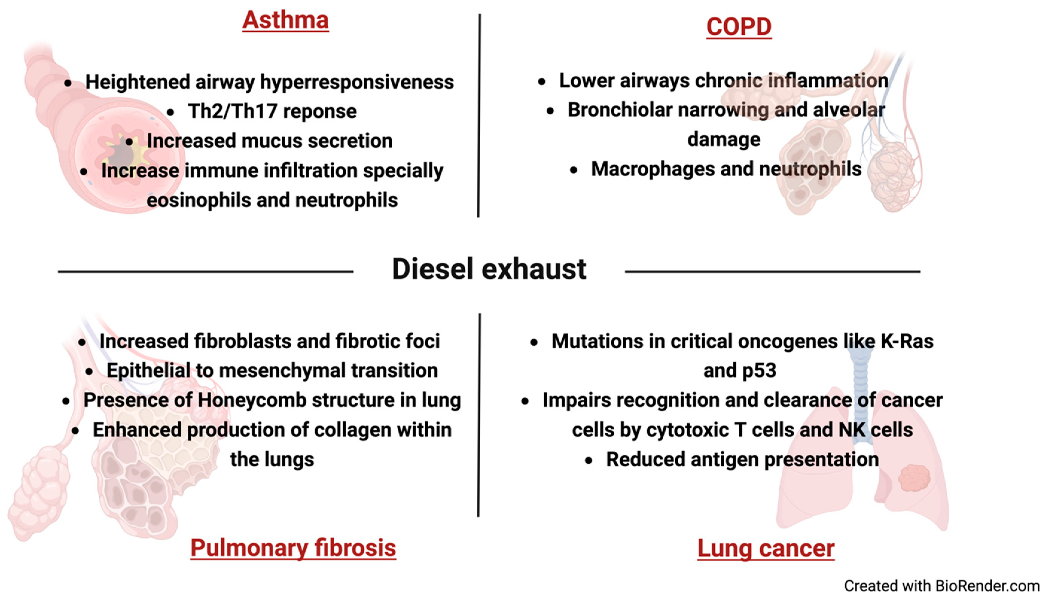 Targets 03 00014 g003 Targets 03 00014 g003