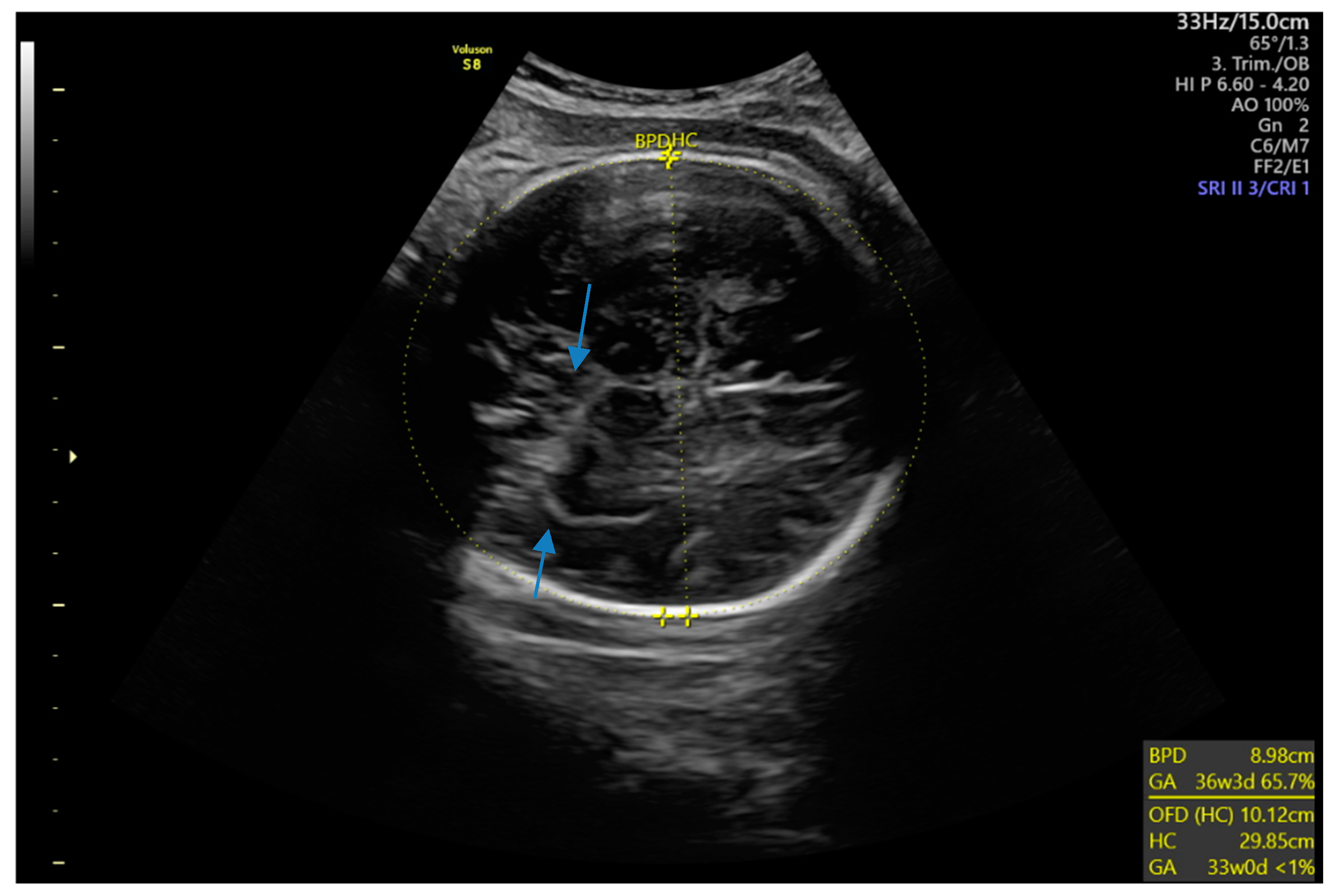 Targets 03 00015 g007