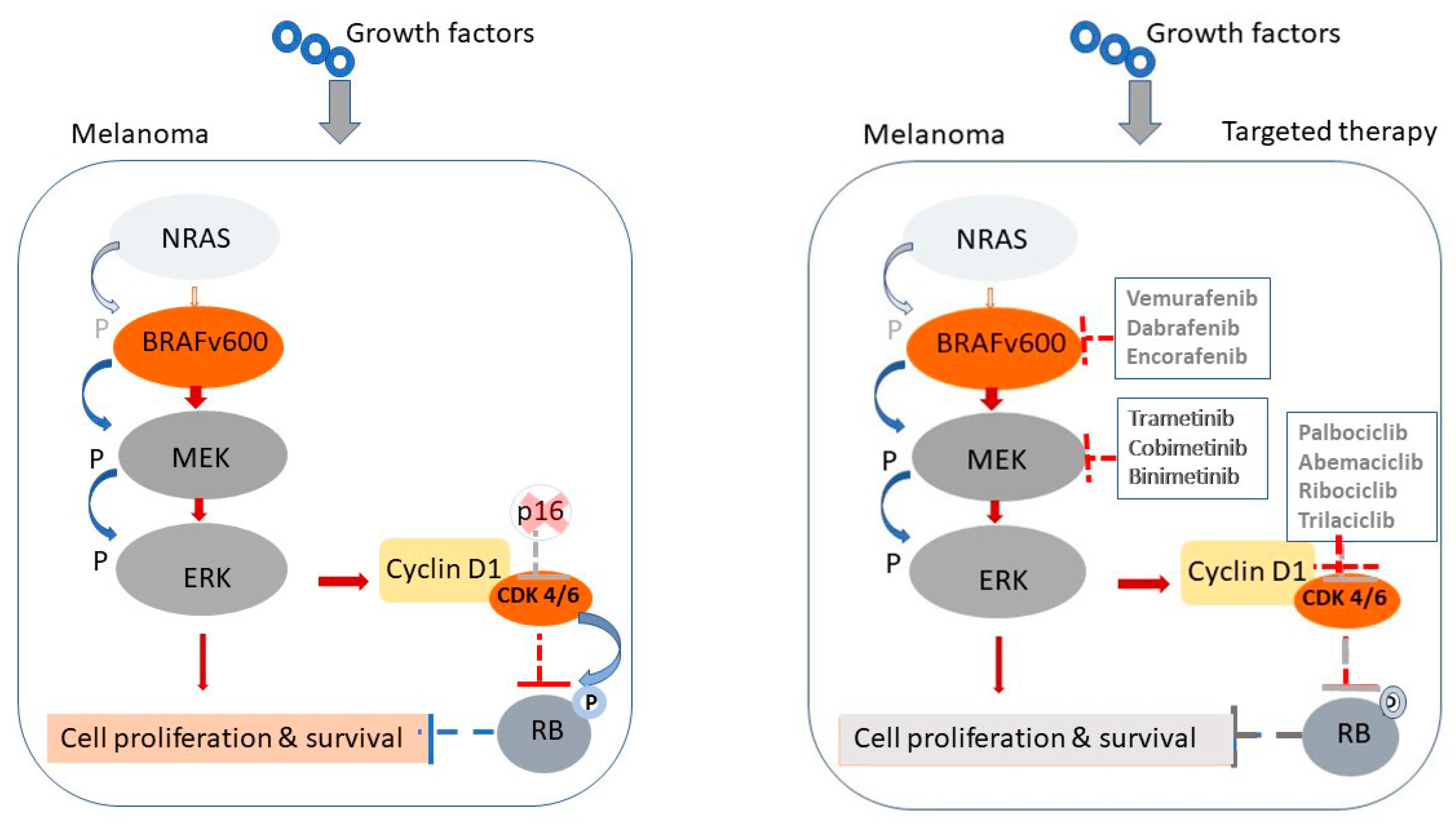 Targets 03 00021 g001