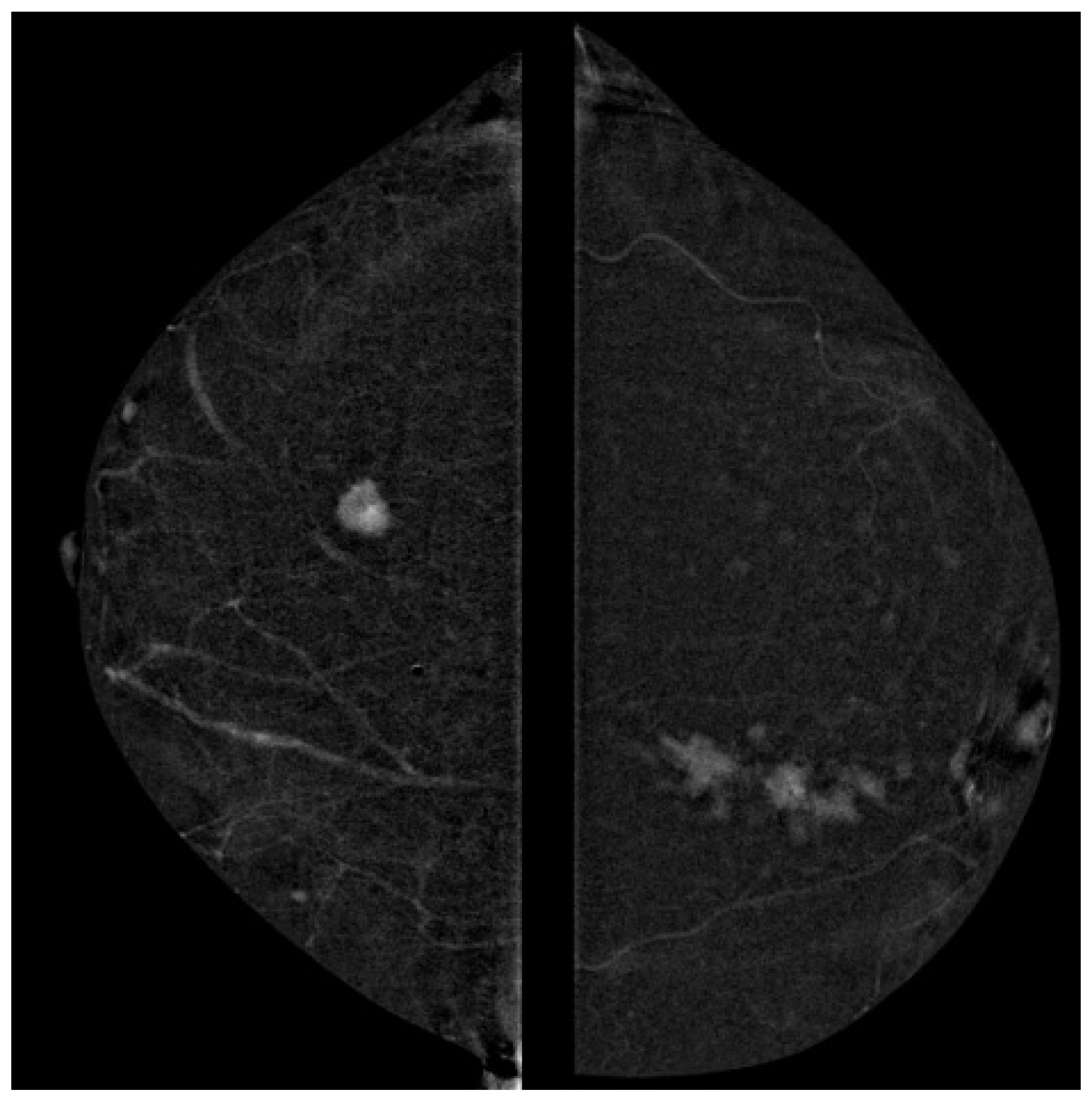 Targets 03 00029 g003 Targets 03 00029 g003