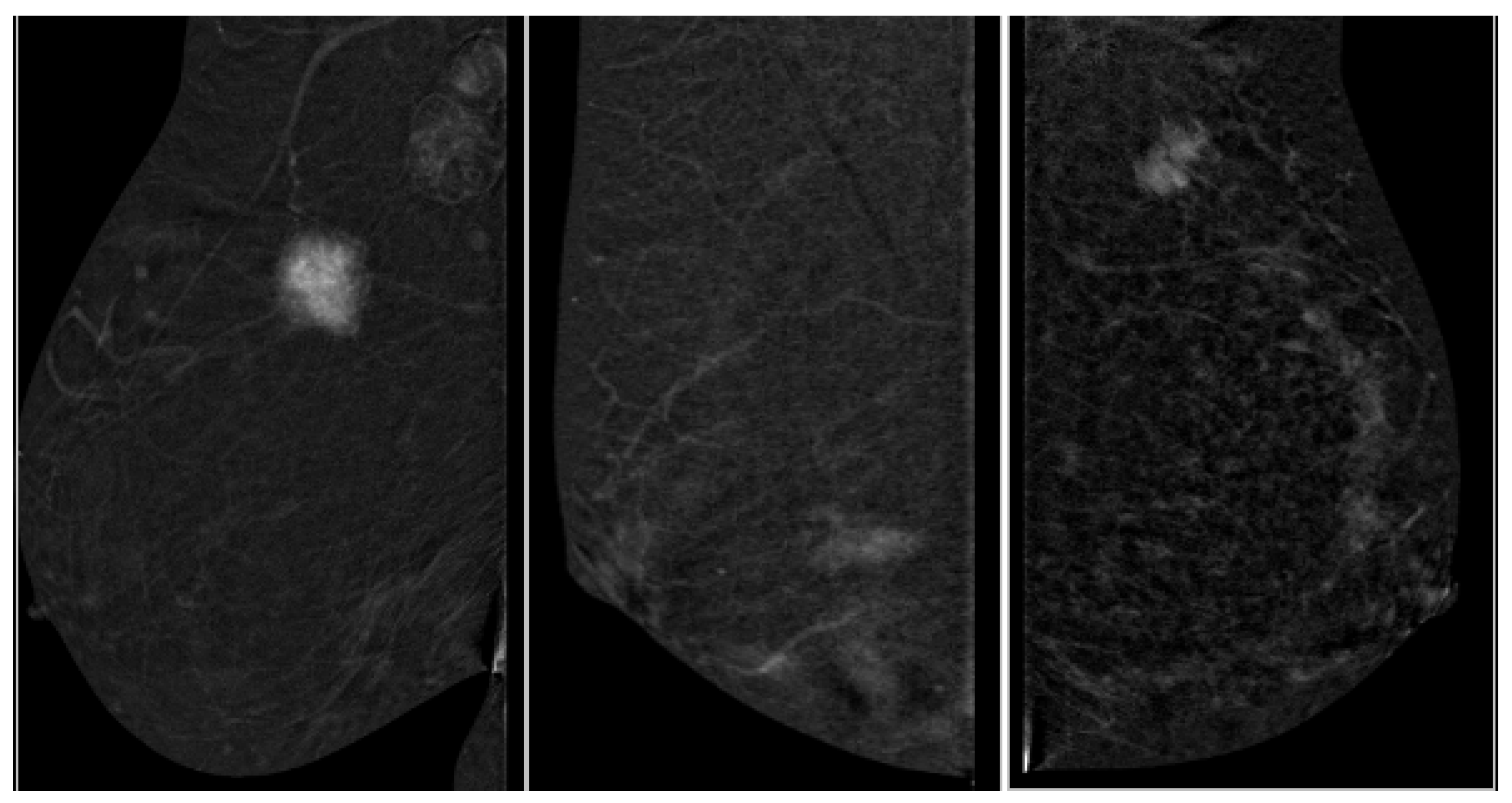 Targets 03 00029 g004 Targets 03 00029 g004