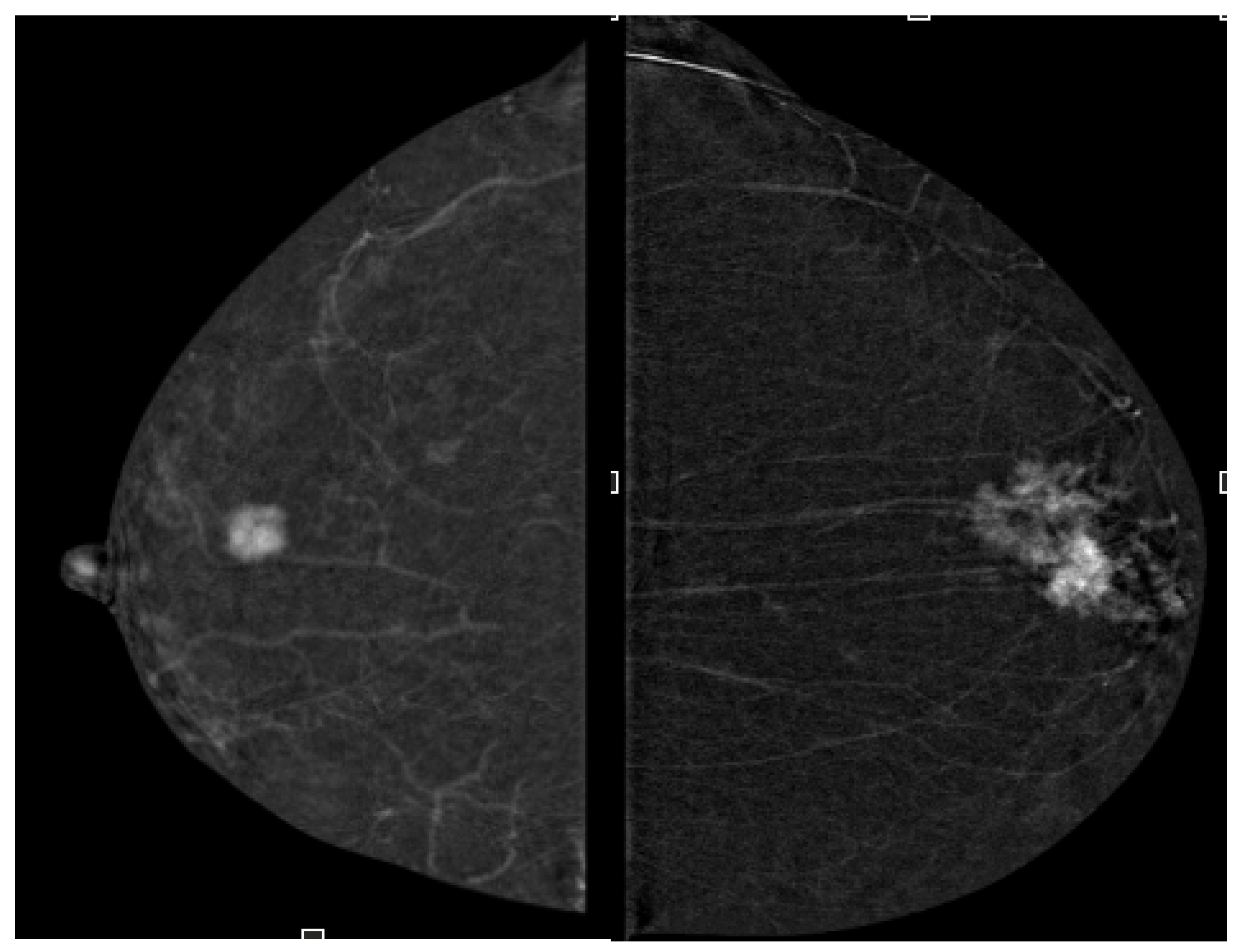 Targets 03 00029 g005 Targets 03 00029 g005