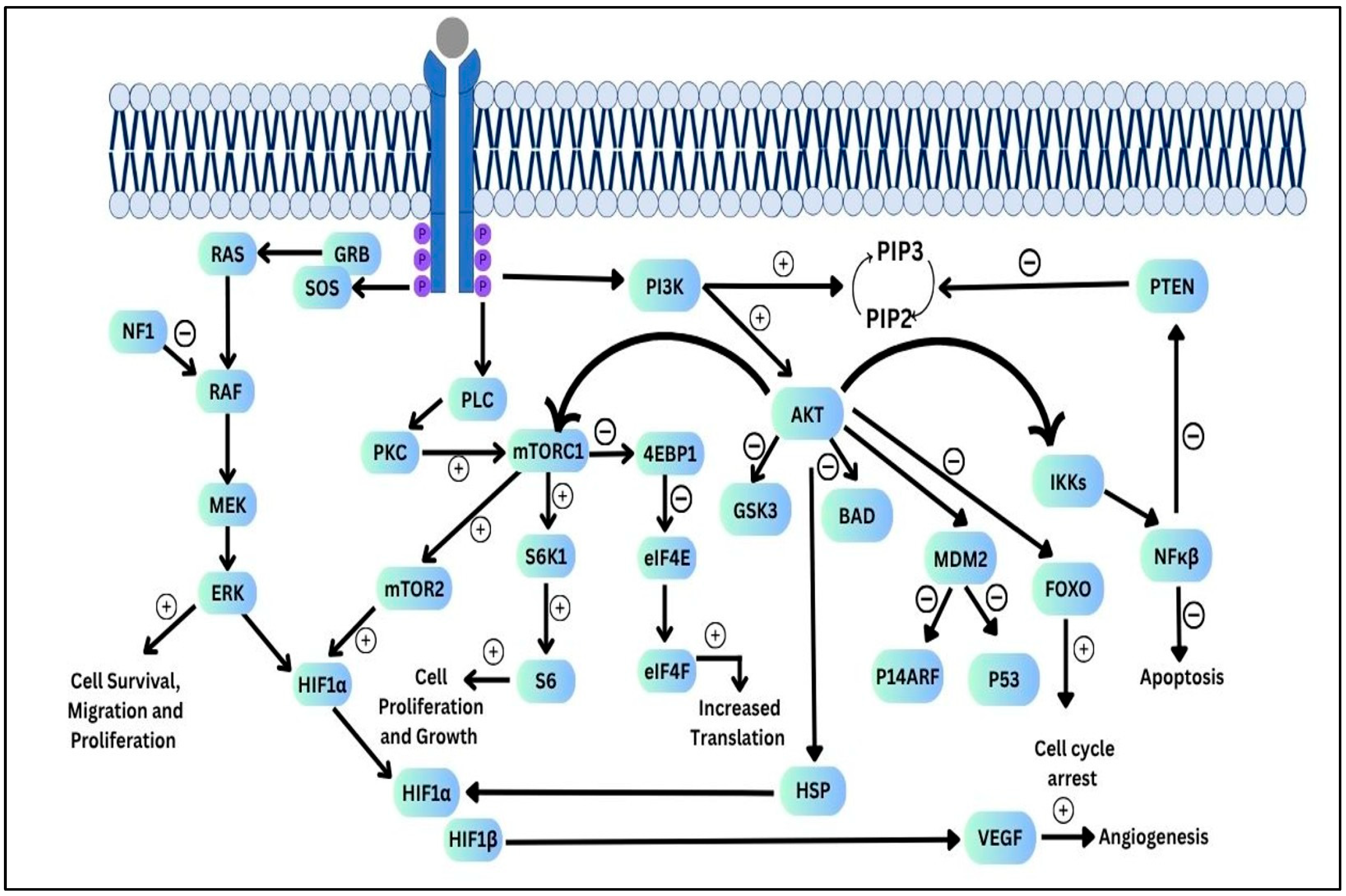 Targets 03 00031 g001 Targets 03 00031 g001