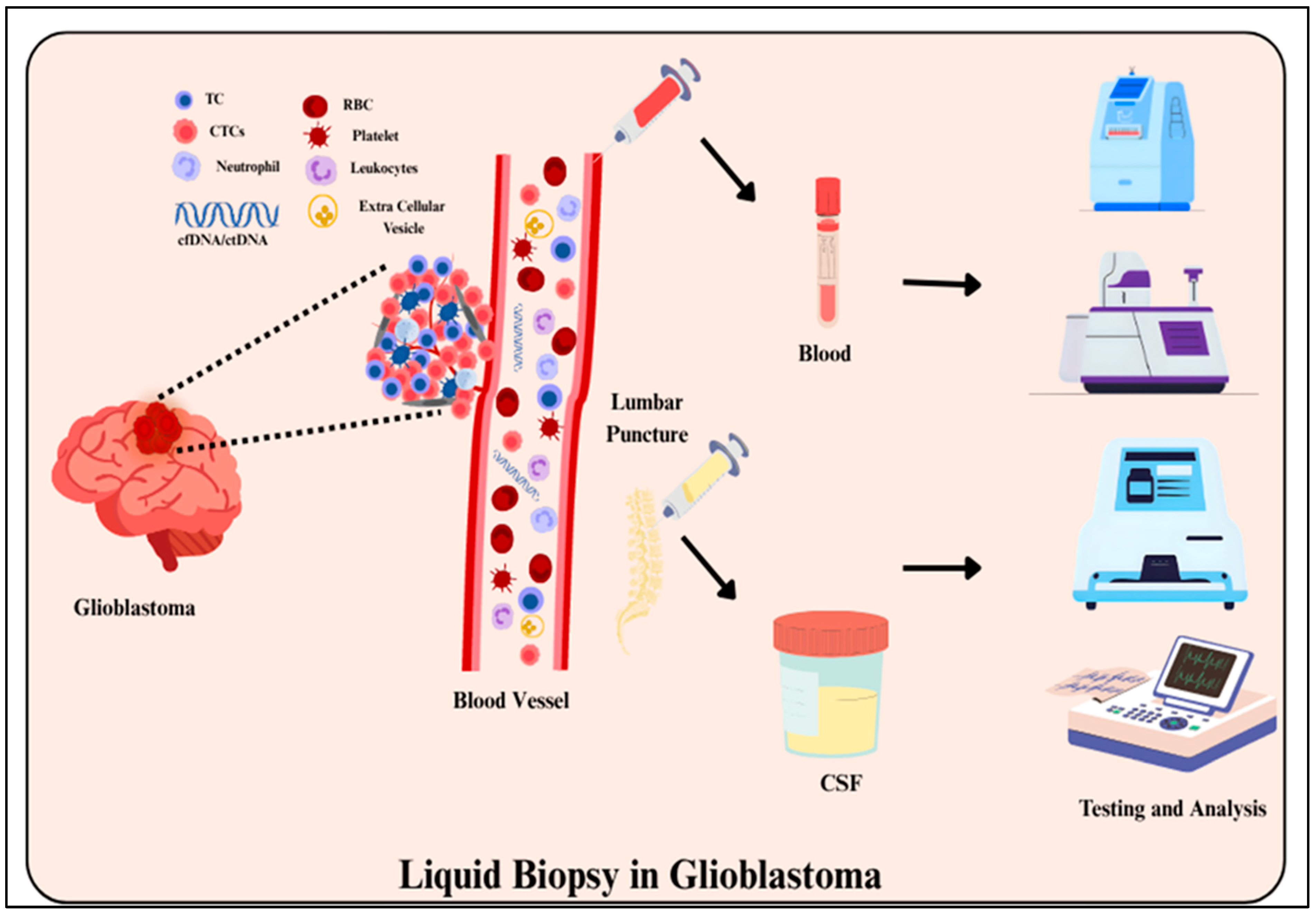 Targets 03 00031 g003 Targets 03 00031 g003
