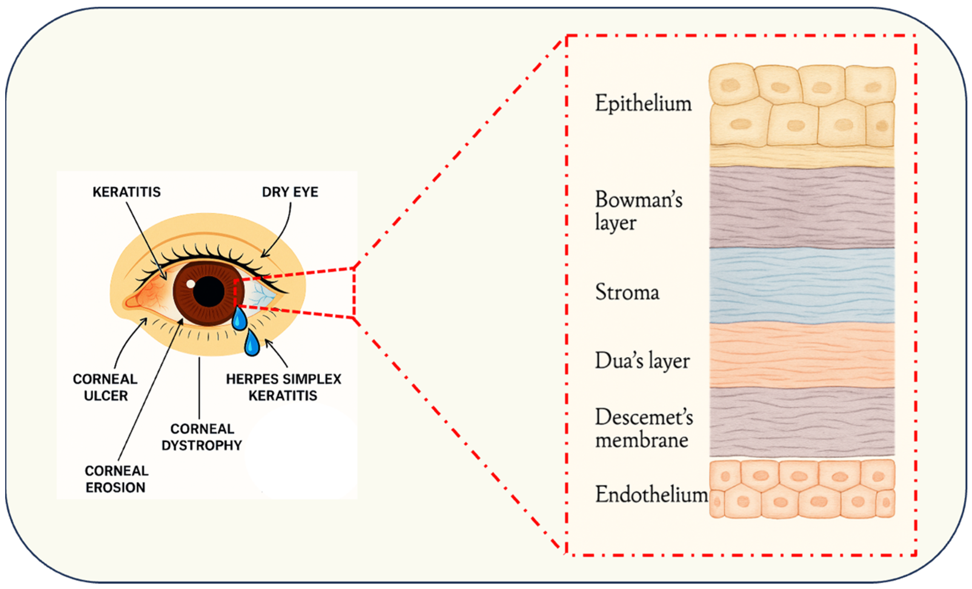 Targets 03 00032 g001