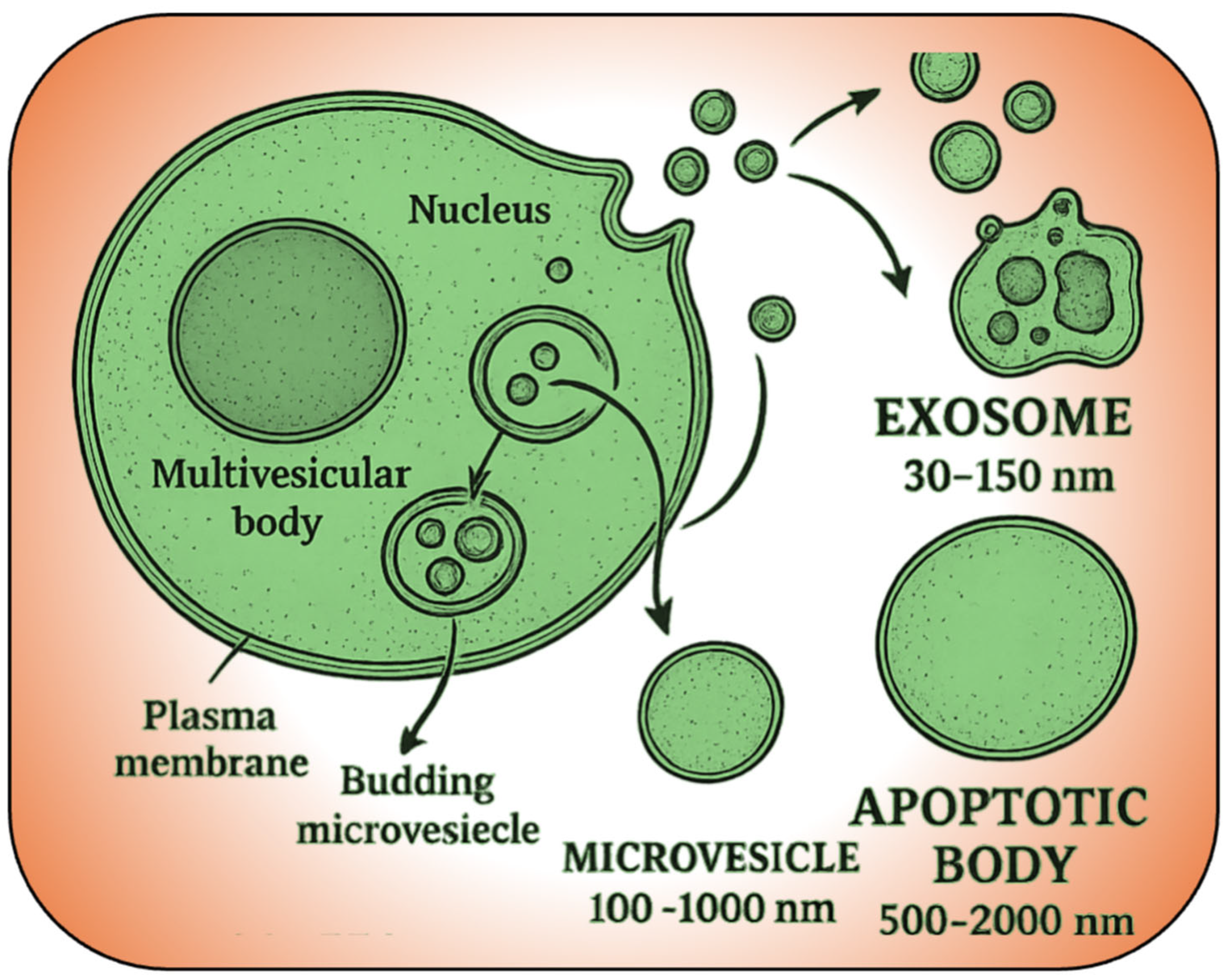 Targets 03 00032 g002