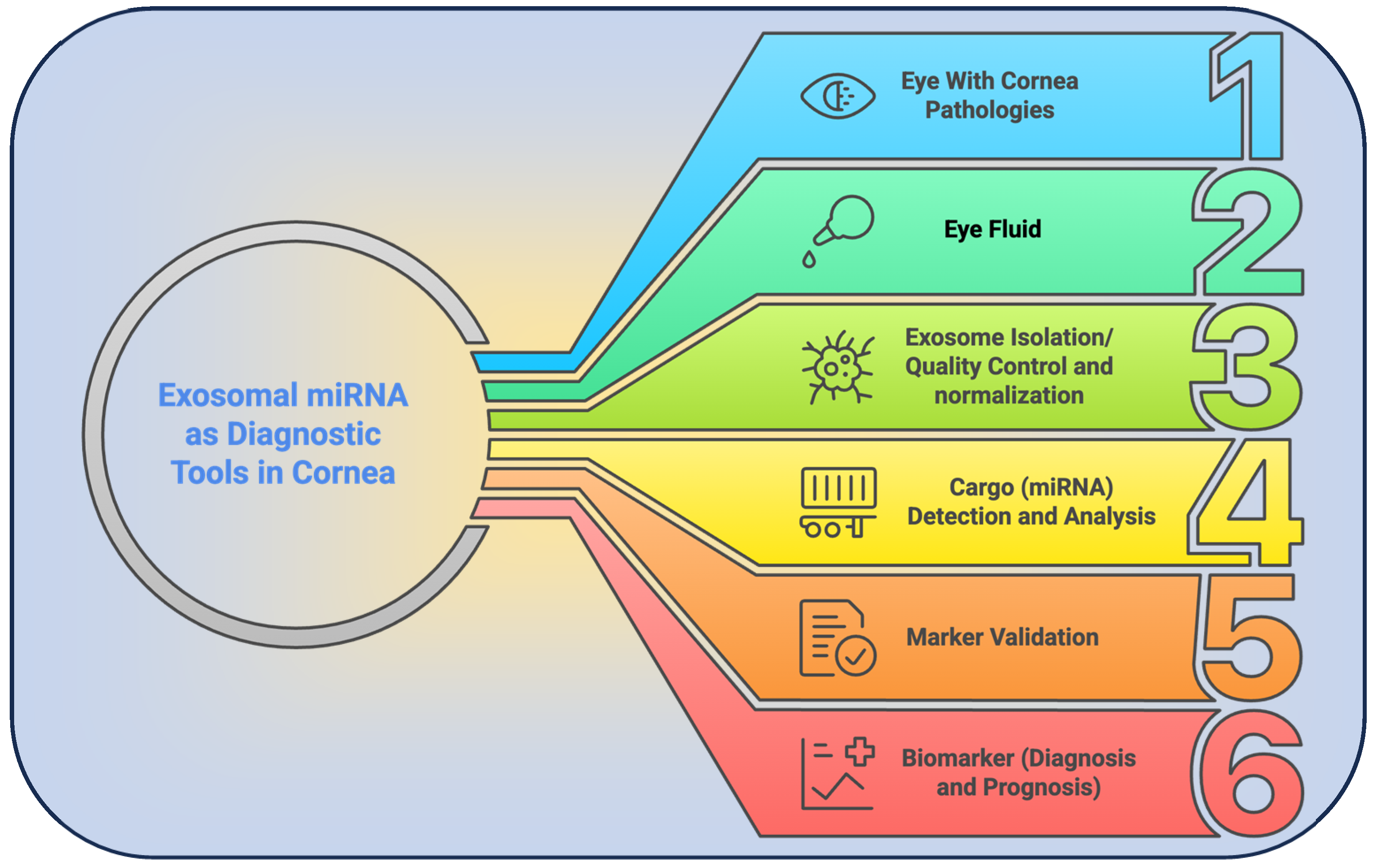 Targets 03 00032 g003