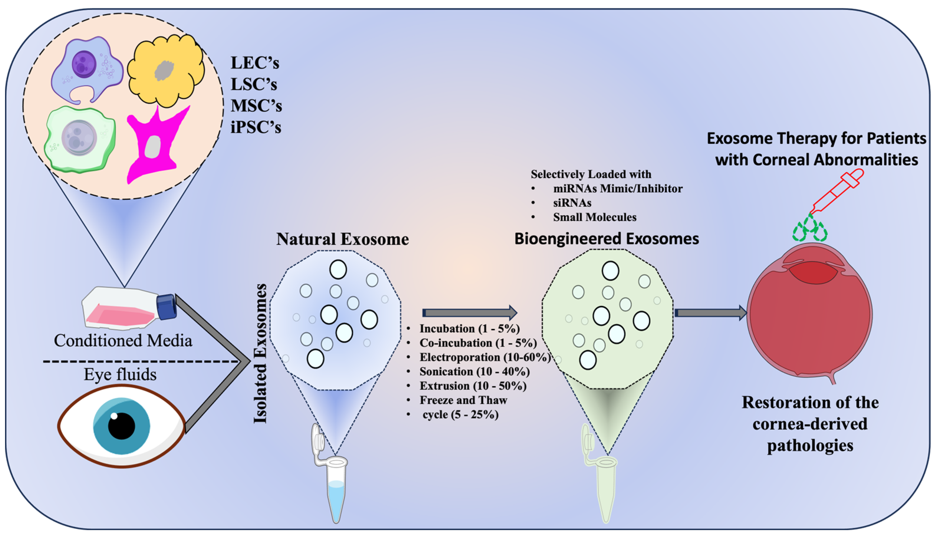 Targets 03 00032 g004