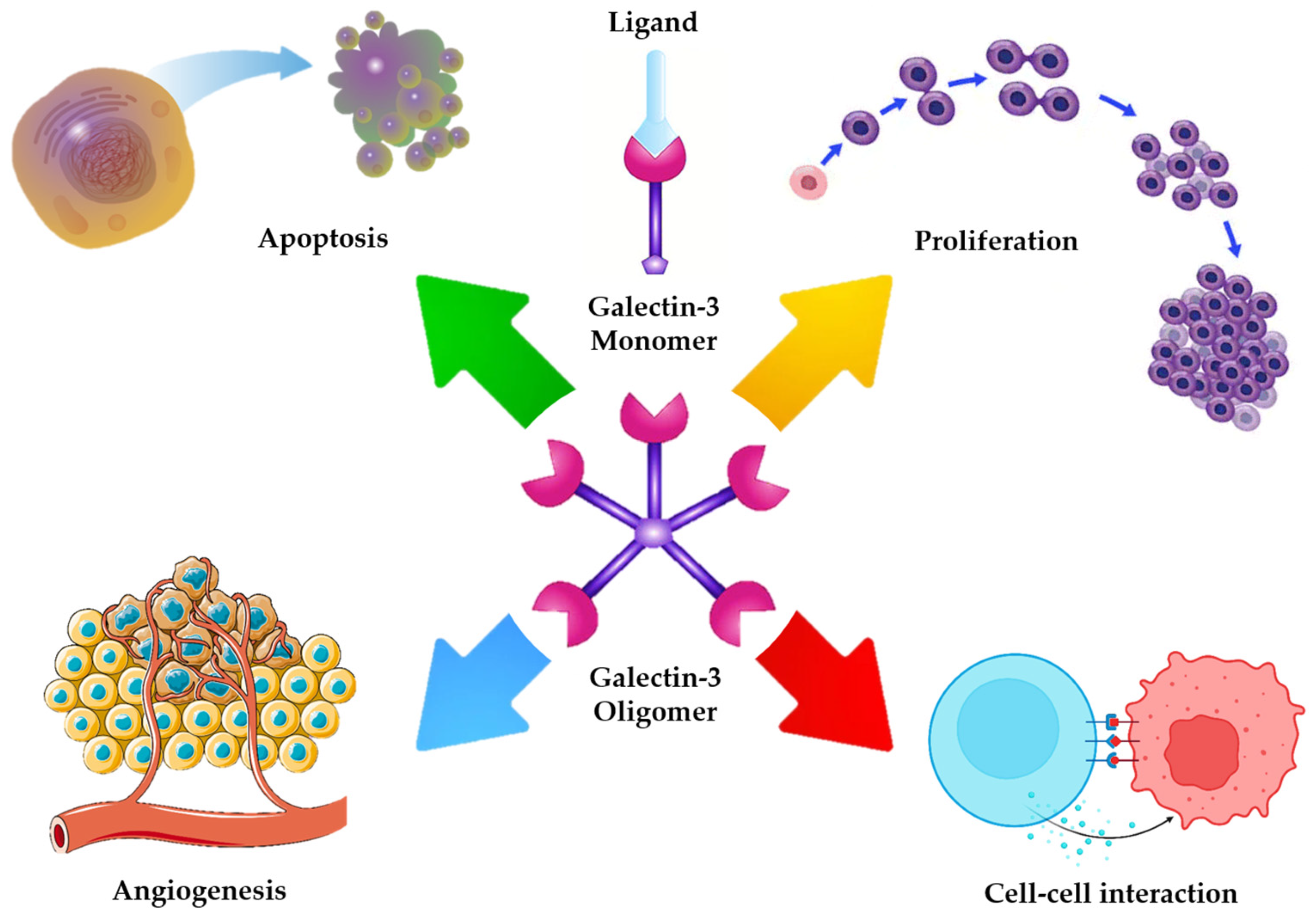 Targets 03 00034 g001 Targets 03 00034 g001