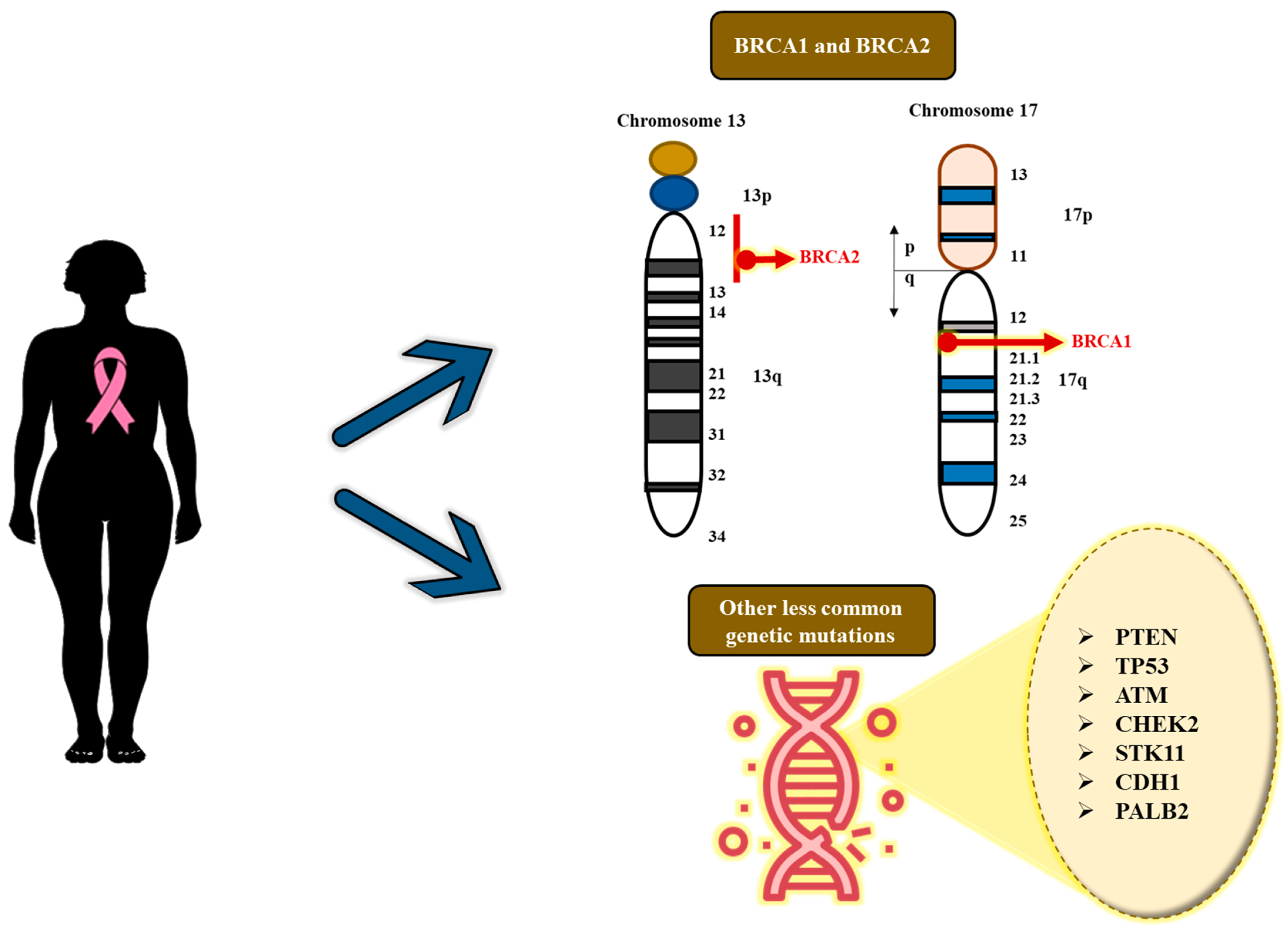 Targets 03 00038 g004 Targets 03 00038 g004