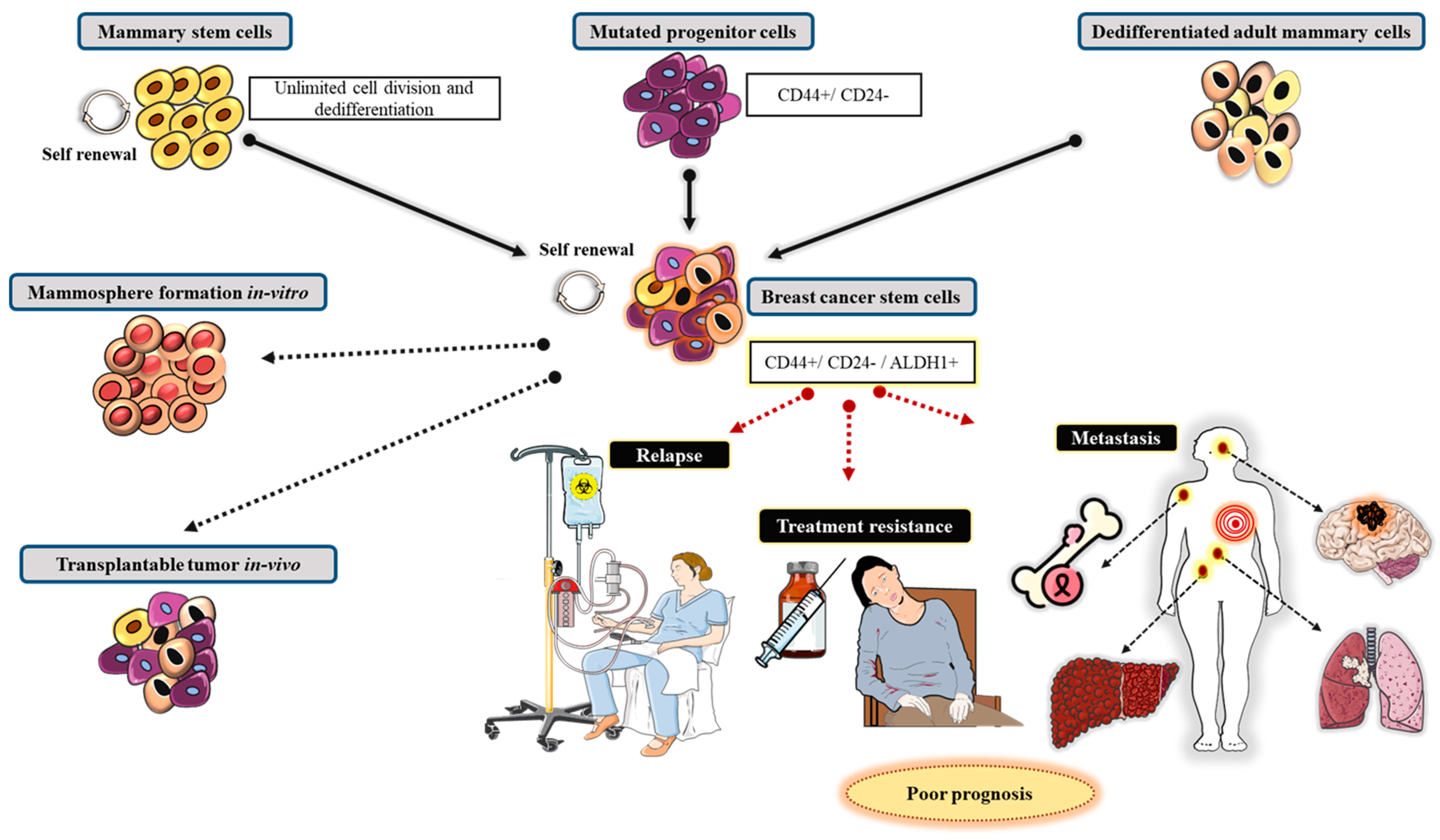 Targets 03 00038 g010 Targets 03 00038 g010
