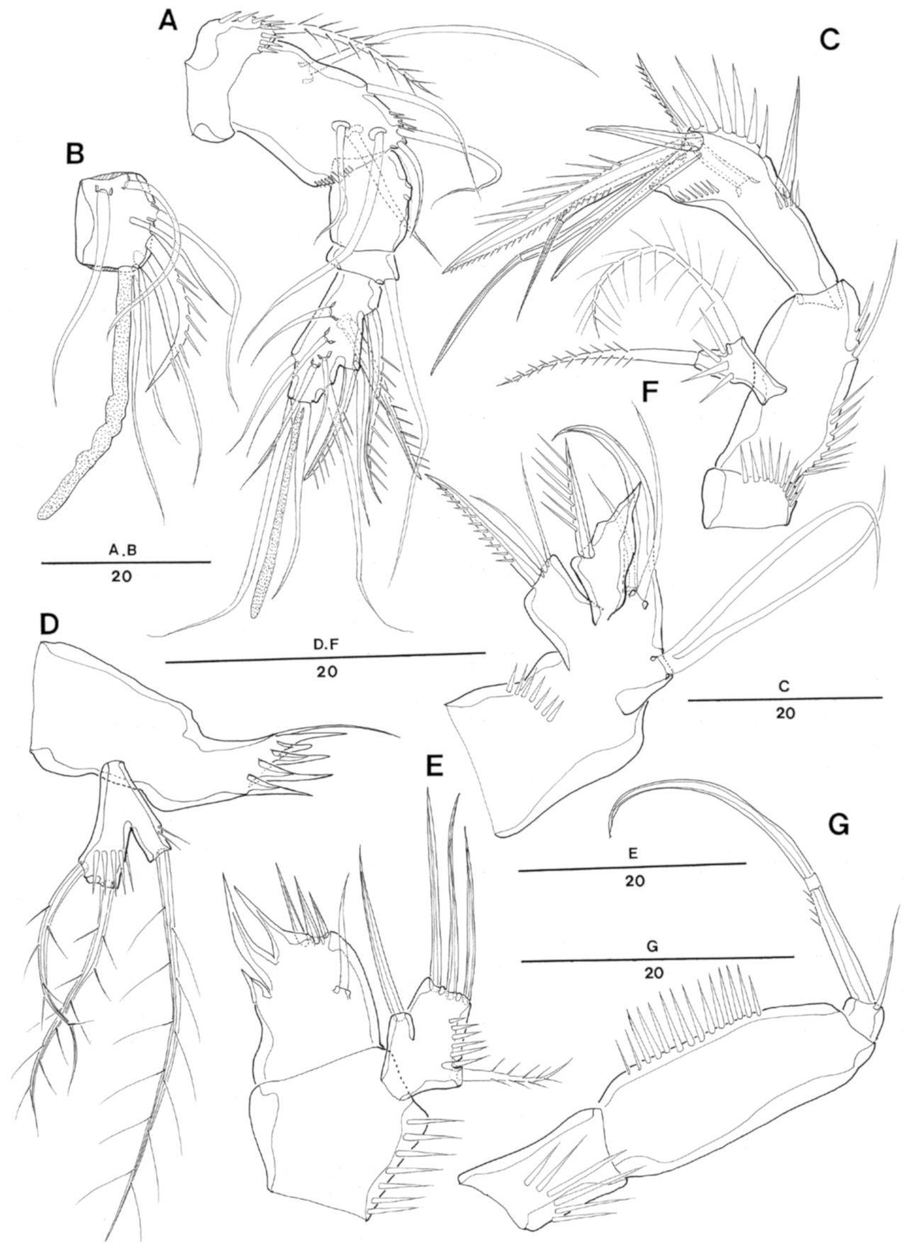 Taxonomy 01 00004 g002