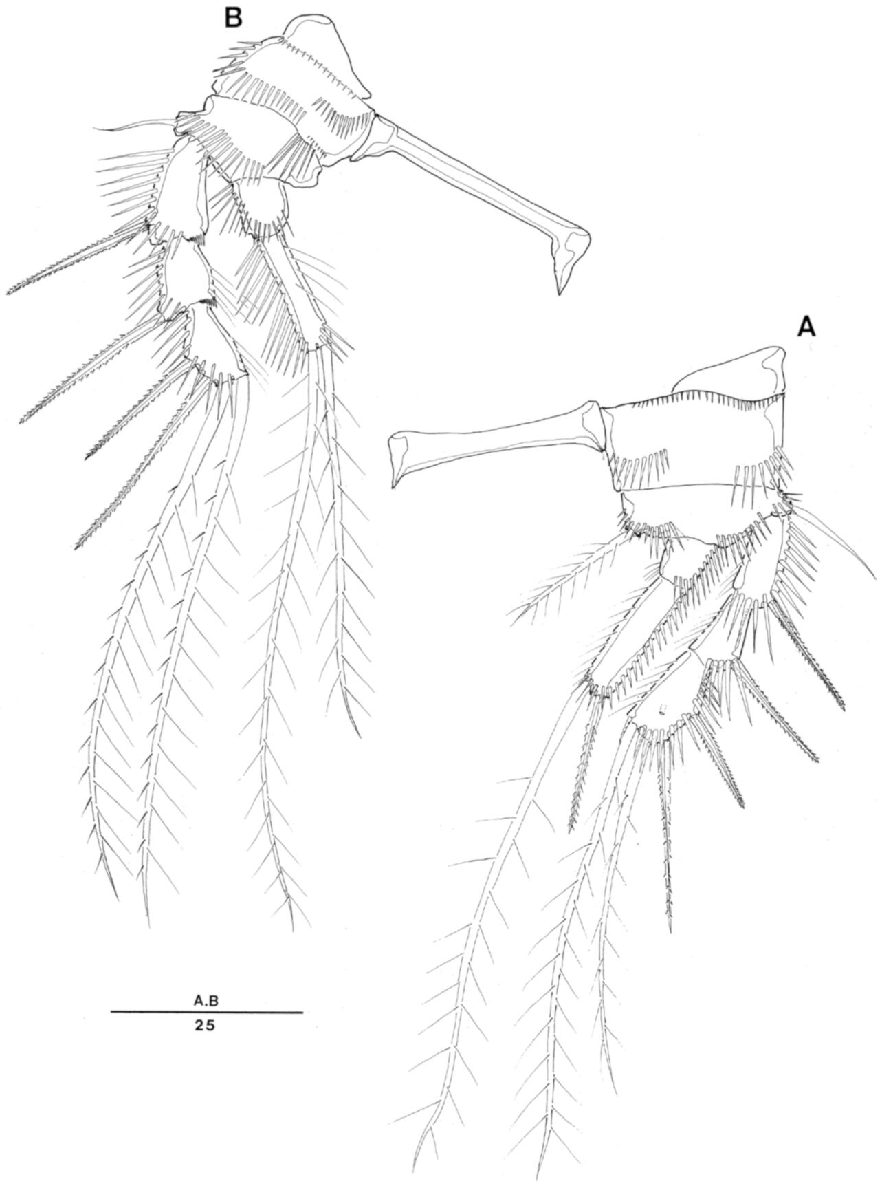 Taxonomy 01 00004 g003