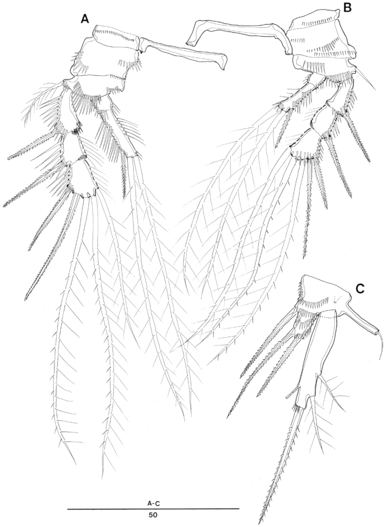 Taxonomy 01 00004 g004