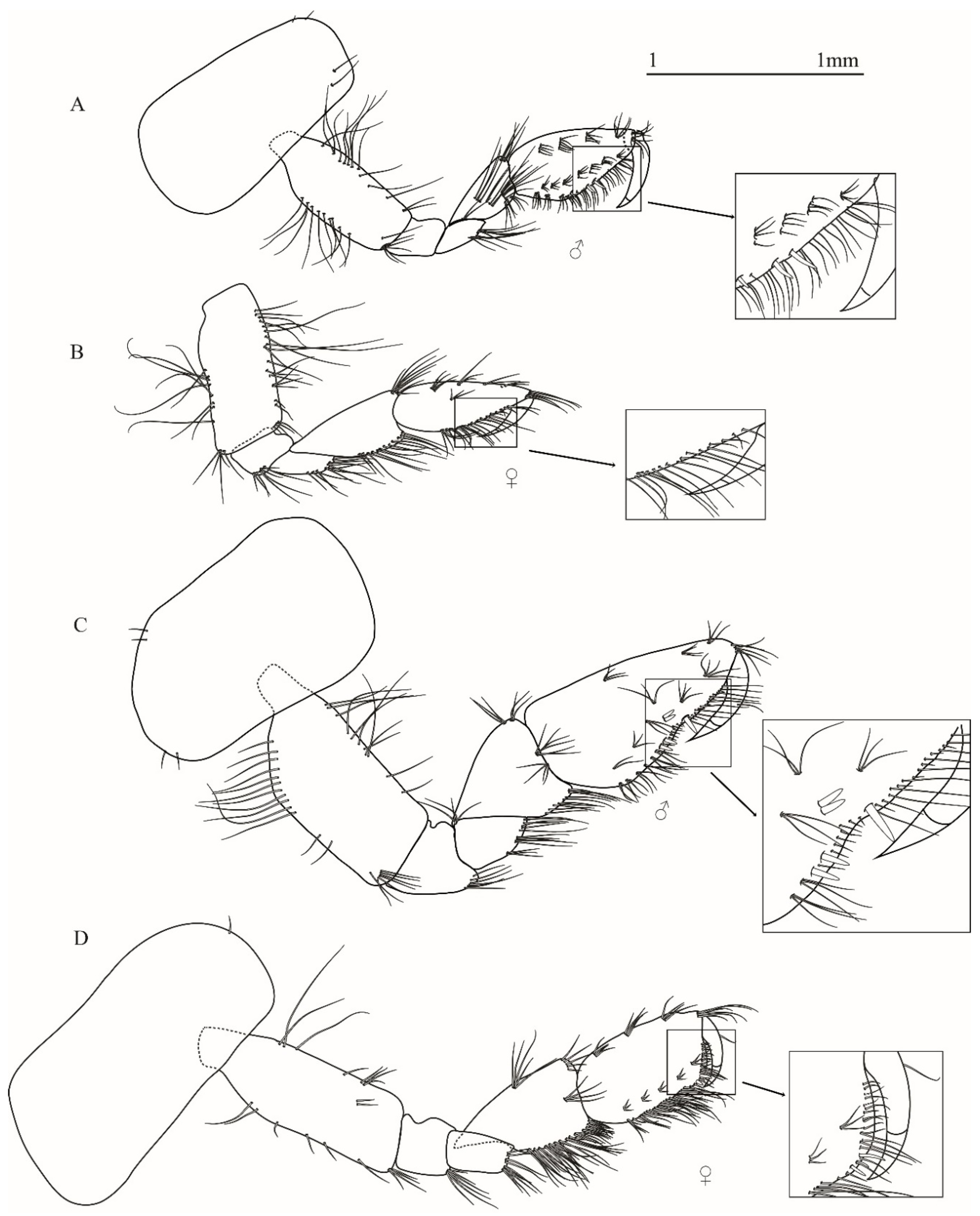 Taxonomy 01 00005 g005 Taxonomy 01 00005 g005