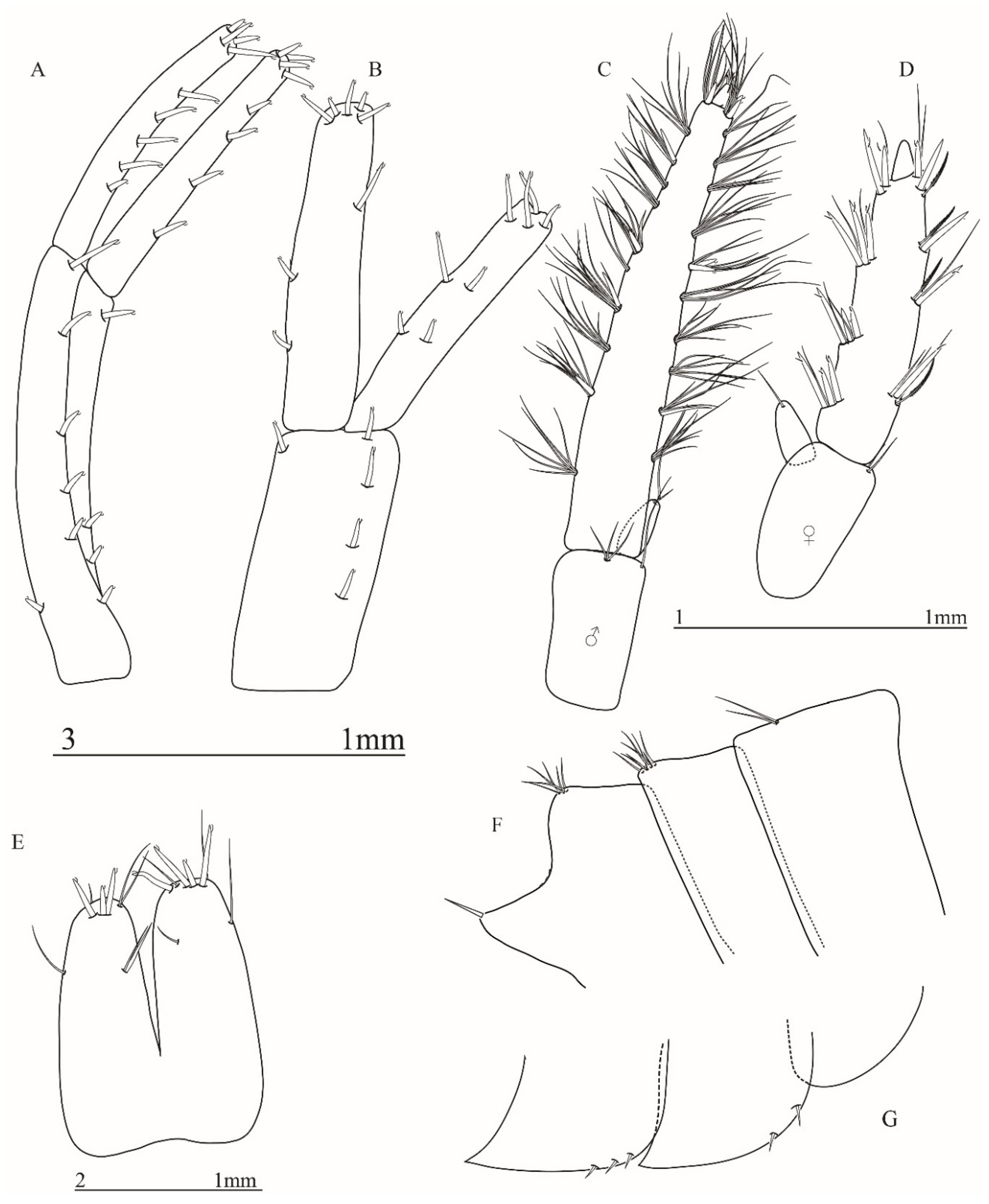 Taxonomy 01 00005 g008 Taxonomy 01 00005 g008