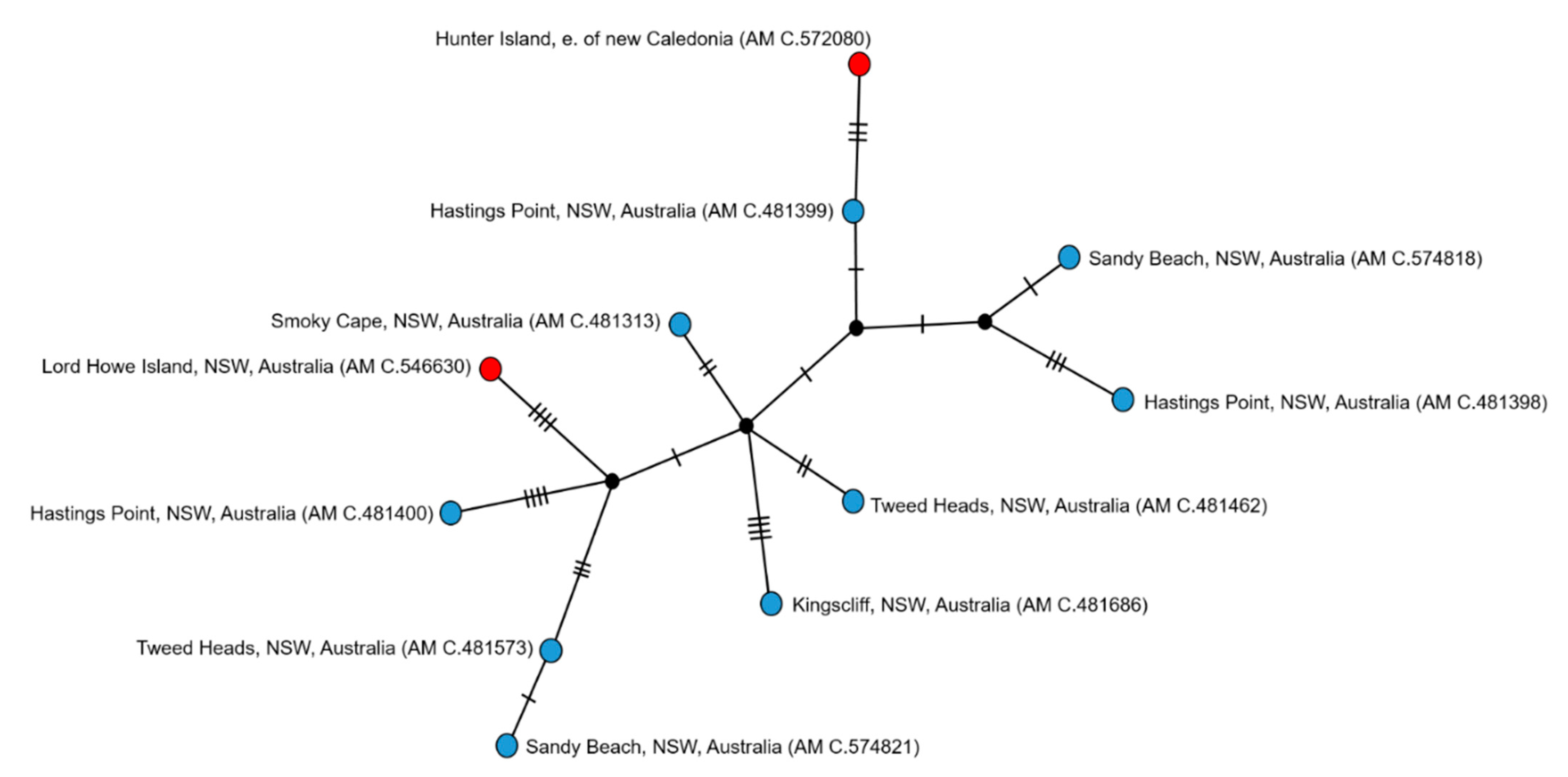 Taxonomy 01 00006 g003