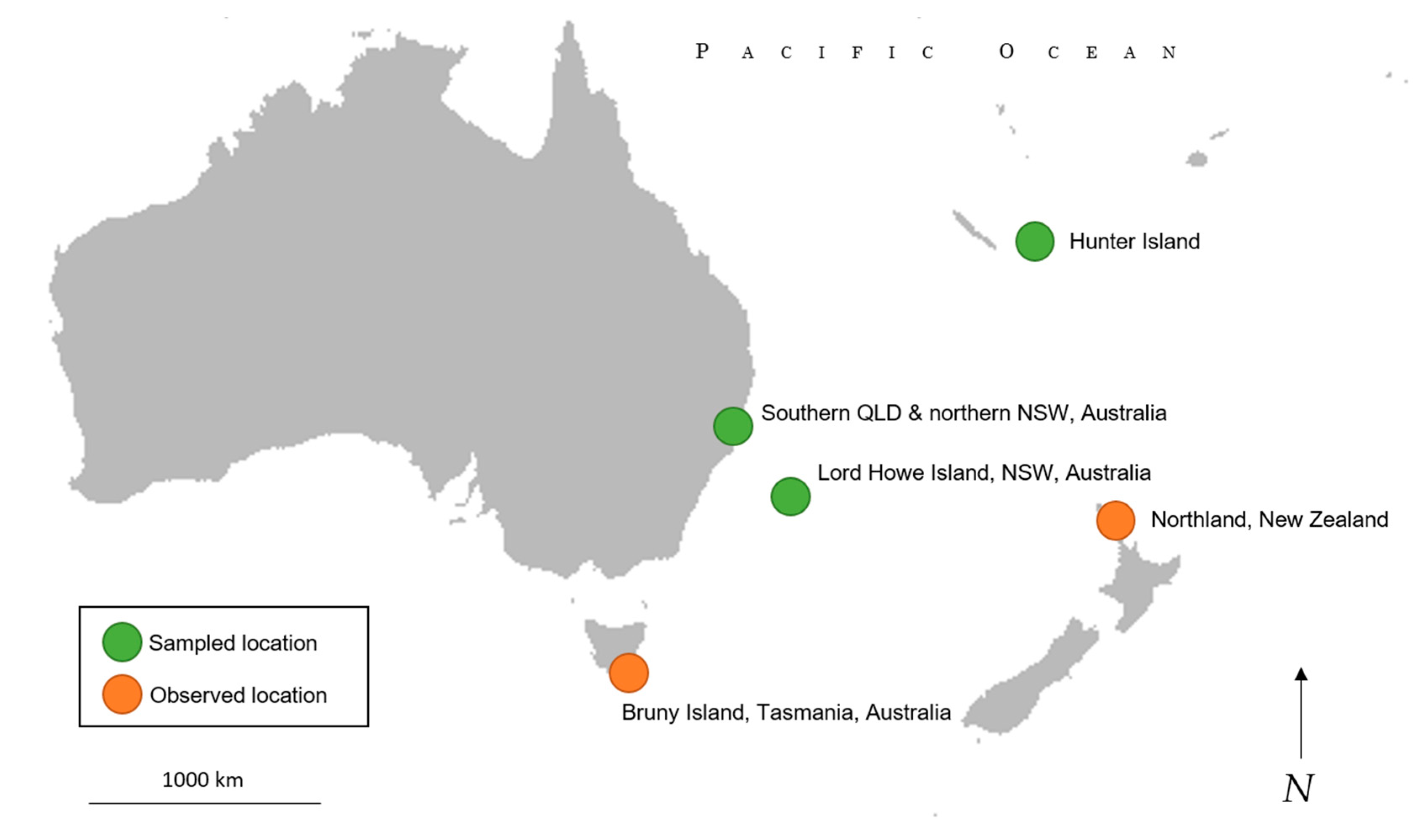 Taxonomy 01 00006 g006