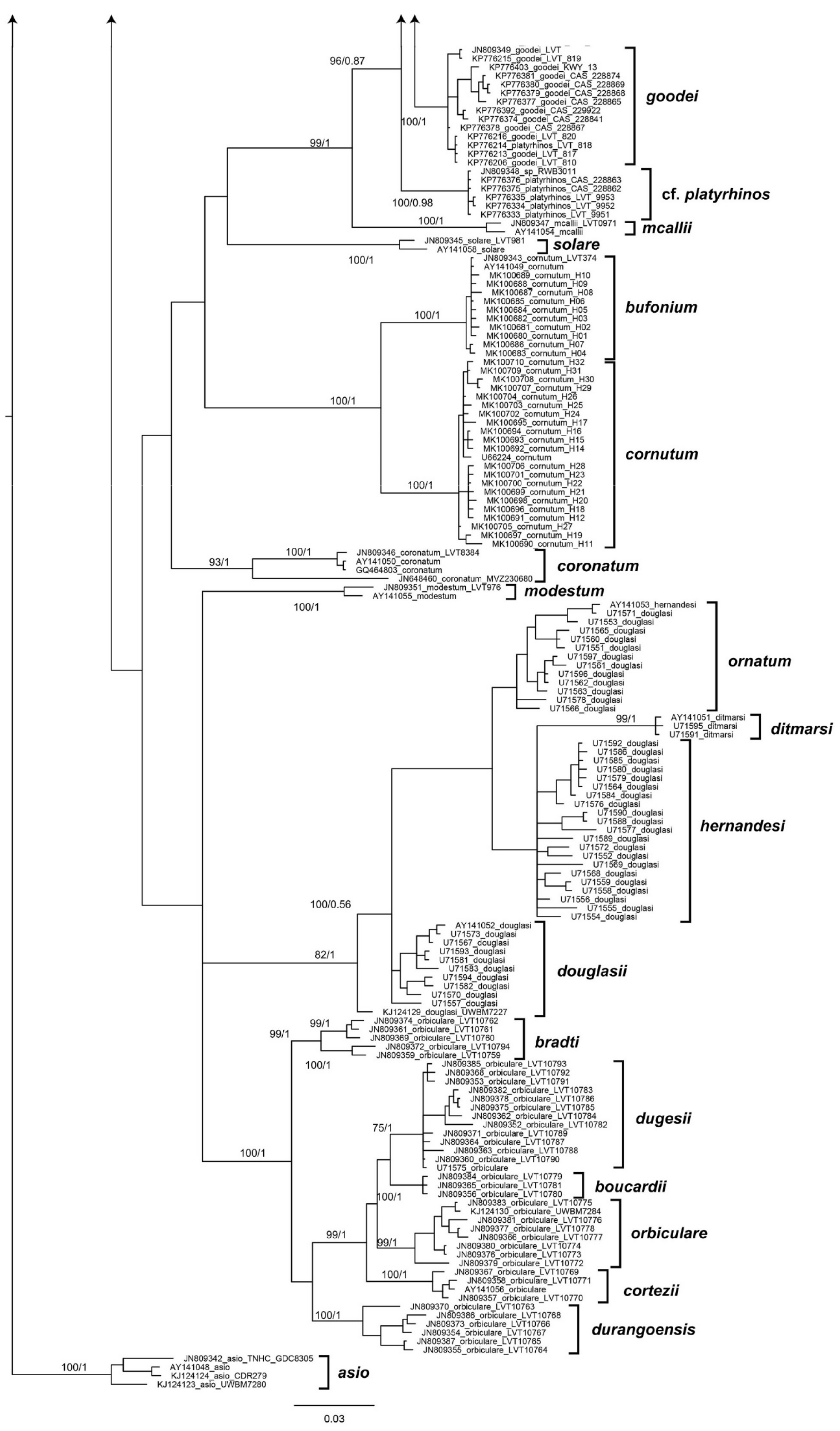 Taxonomy 01 00009 g001b