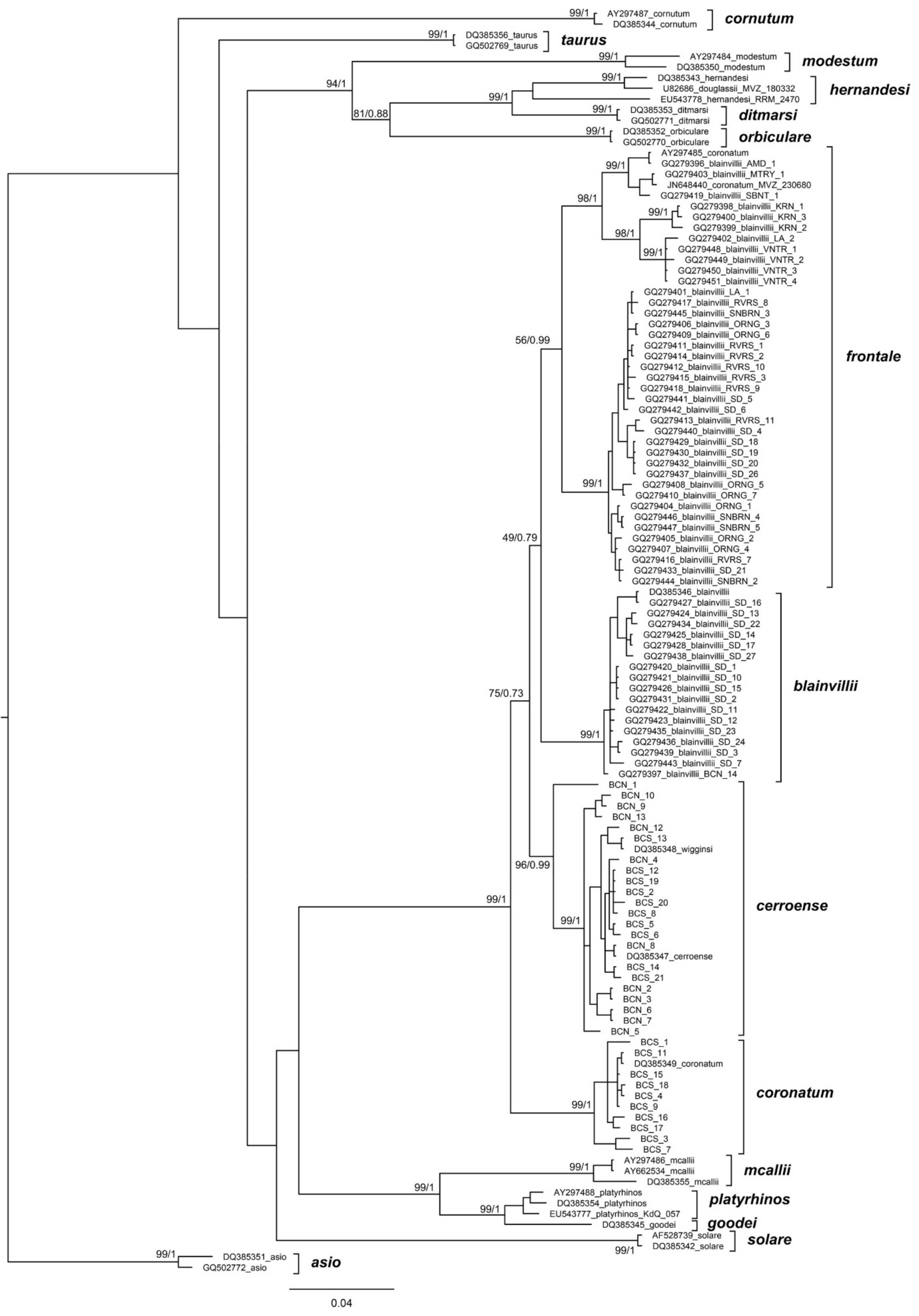 Taxonomy 01 00009 g003