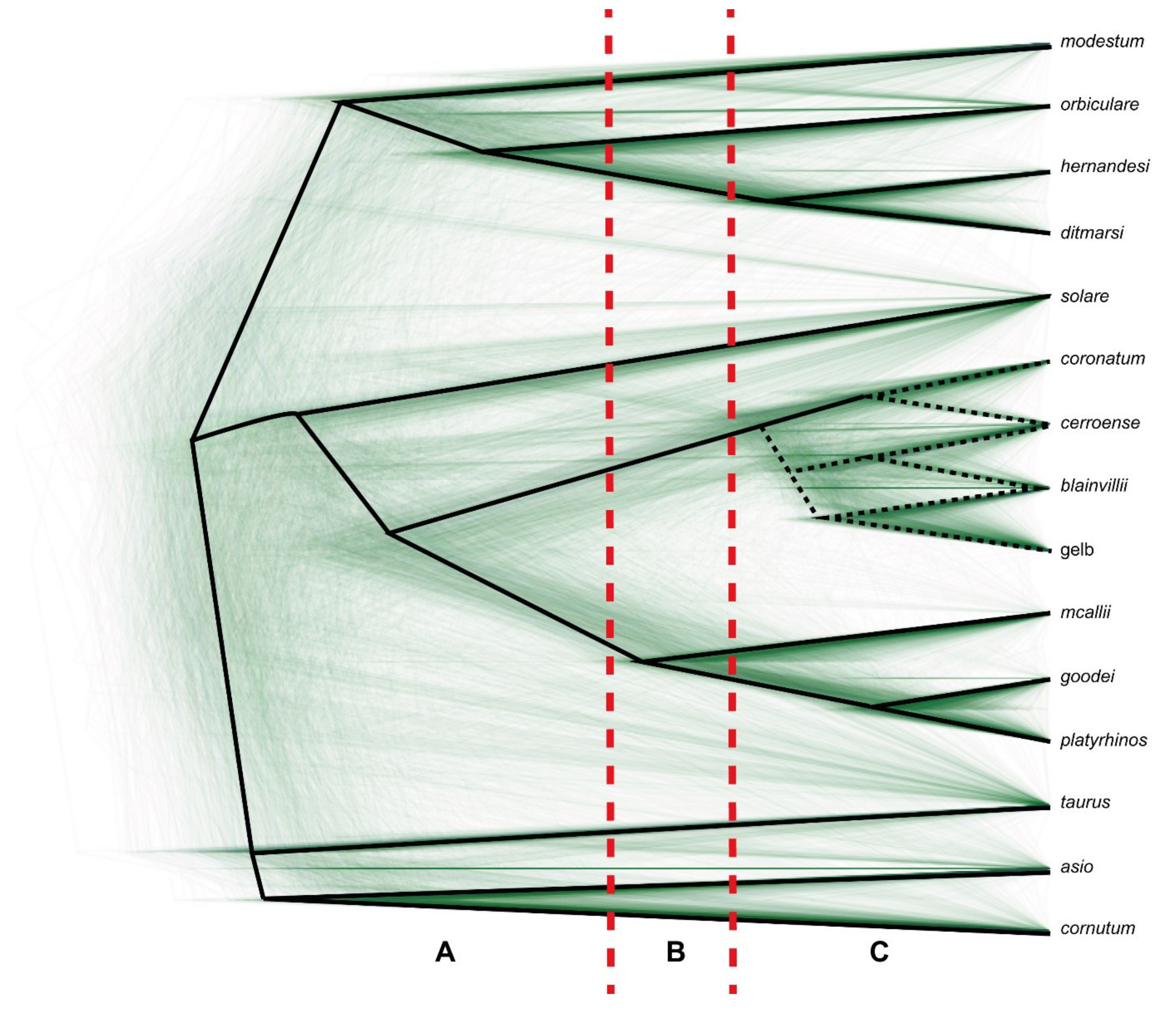 Taxonomy Free Full Text Taxonomy Of Horned Lizards Genus Phrynosoma Squamata Phrynosomatidae Html