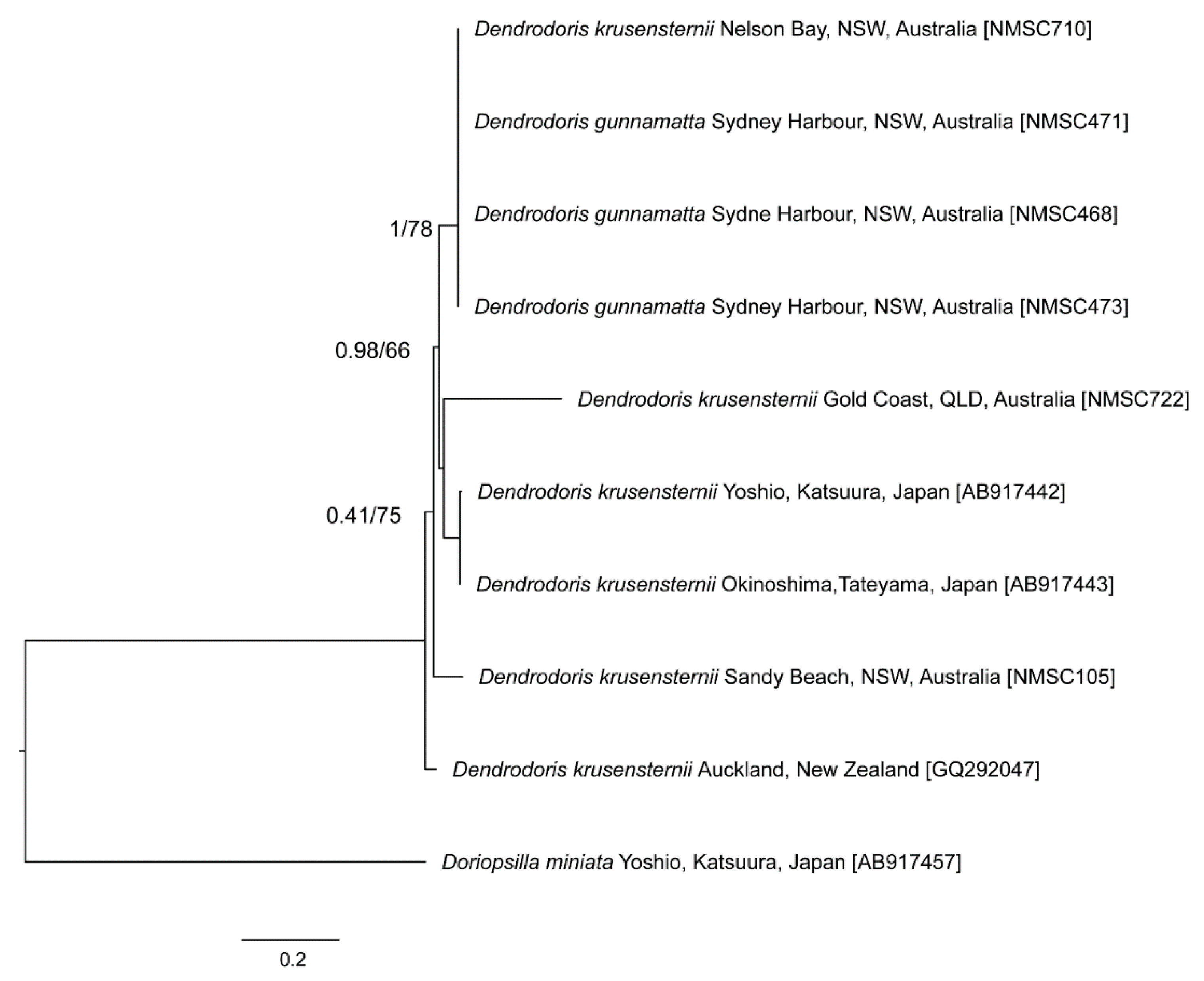 Taxonomy 01 00012 g002