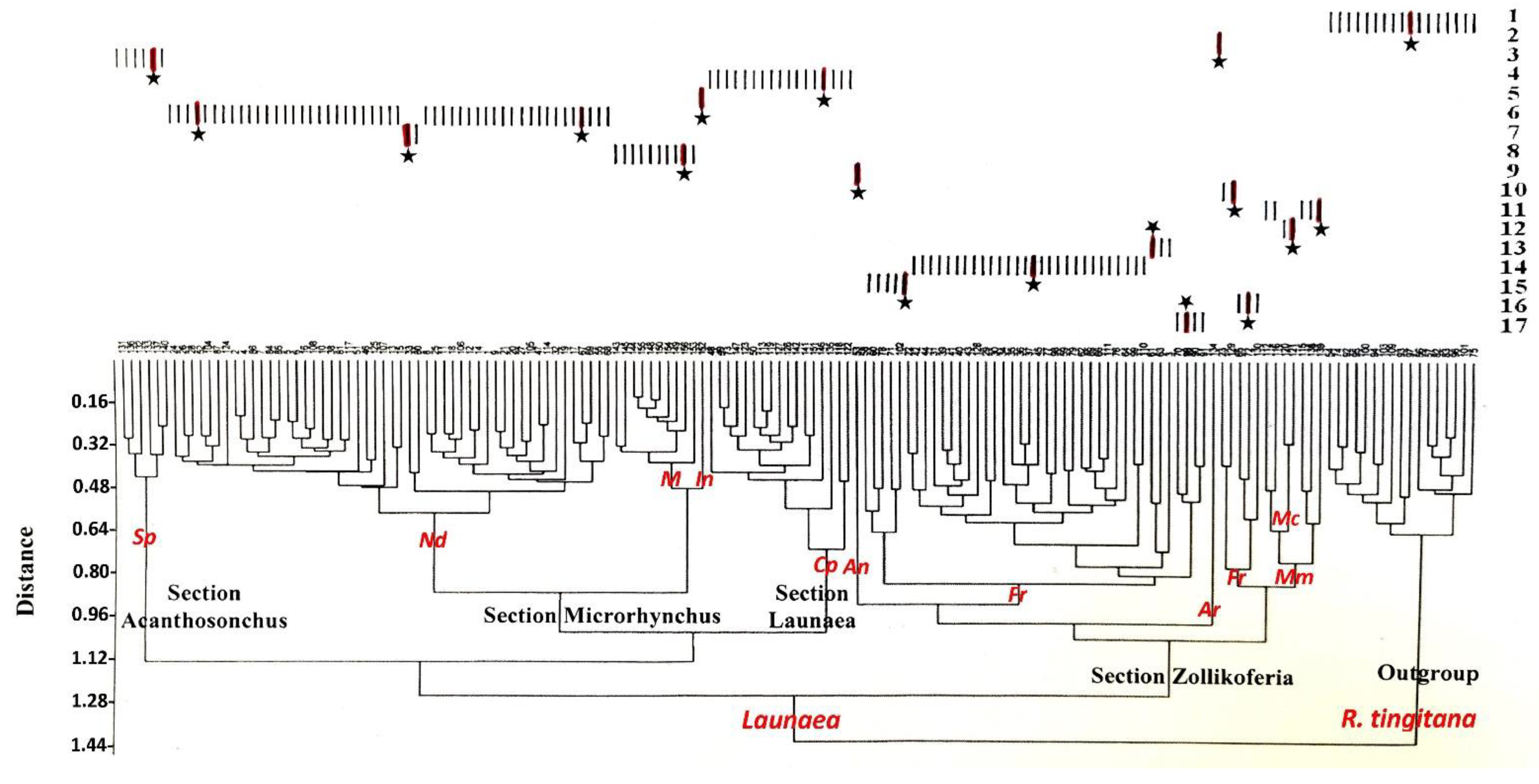 Taxonomy 01 00014 g004