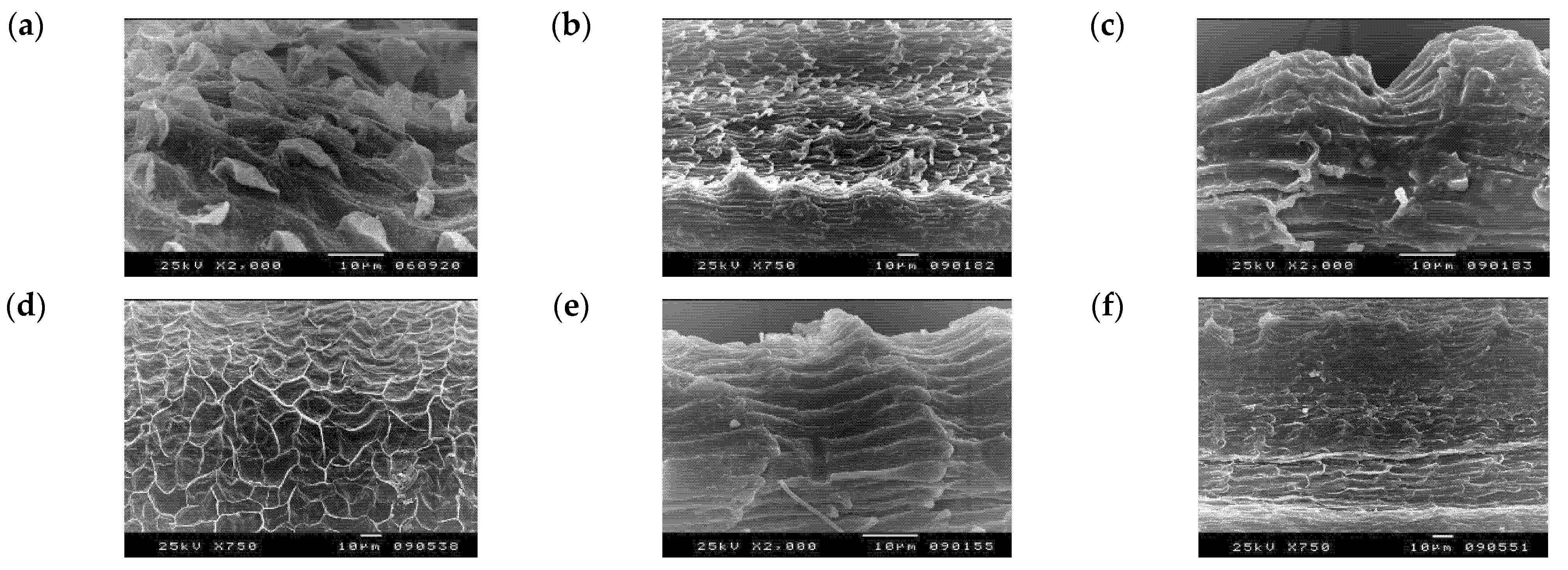 Taxonomy 01 00014 g006a