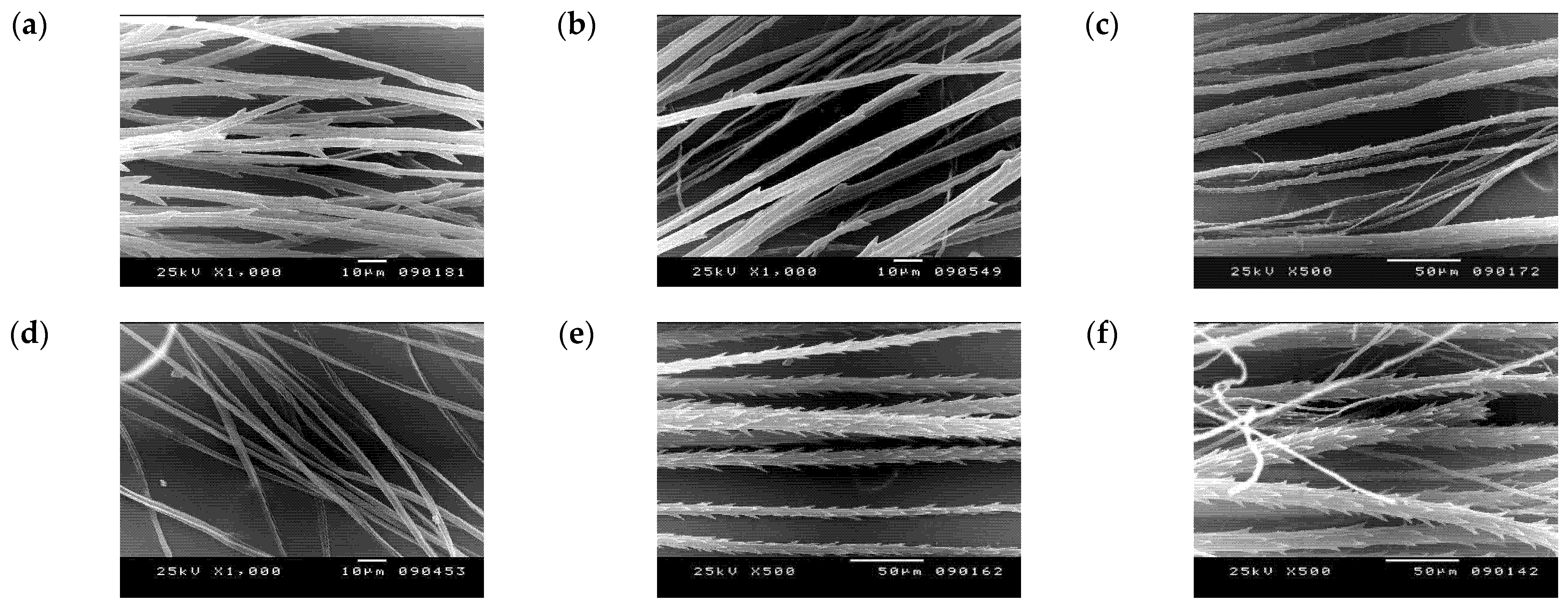 Taxonomy 01 00014 g007