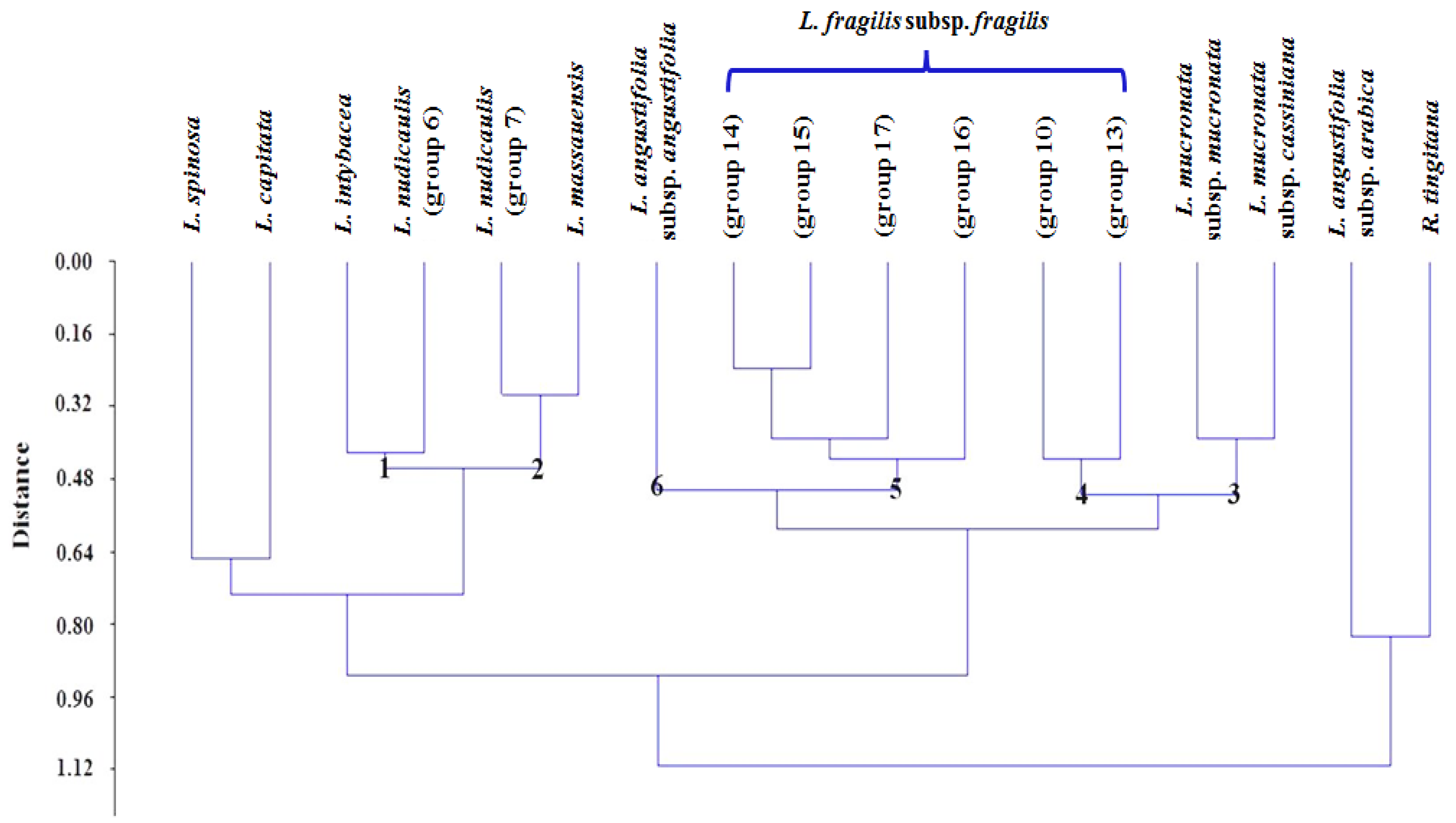 Taxonomy 01 00014 g009