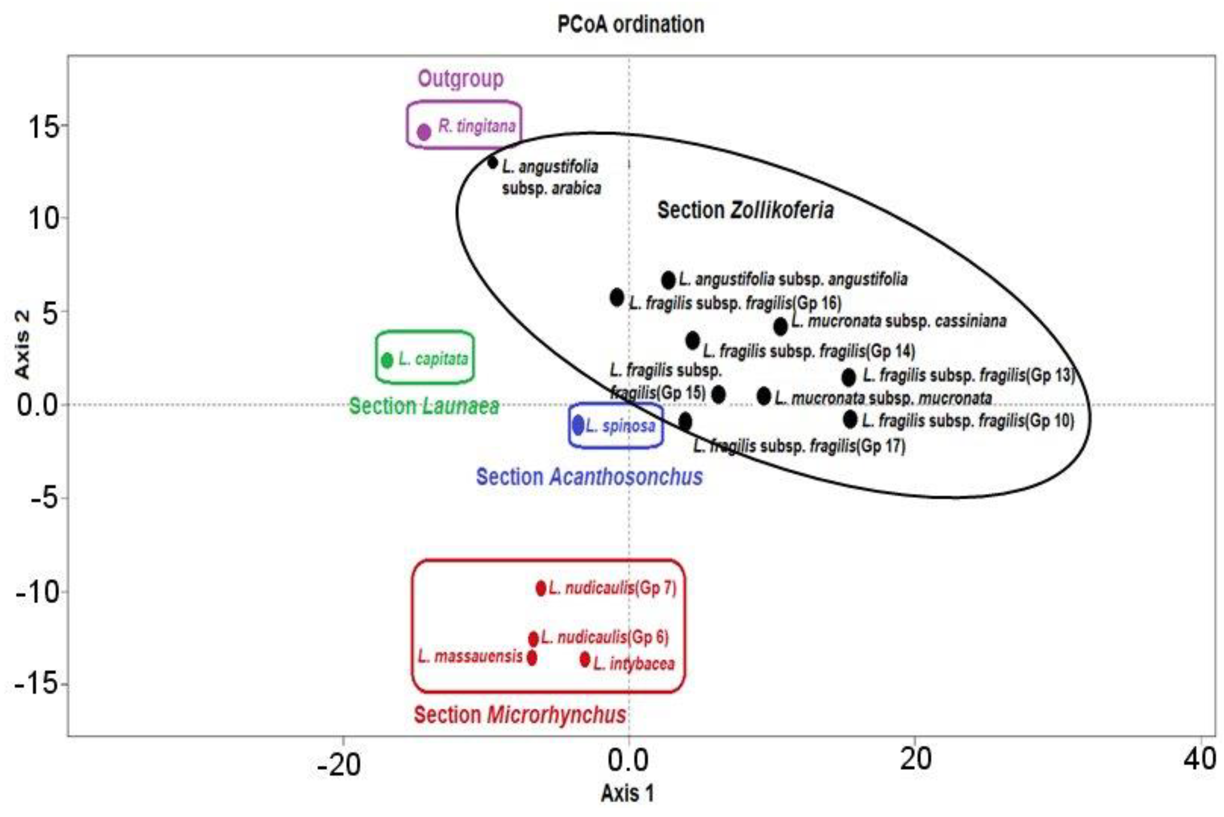 Taxonomy 01 00014 g010