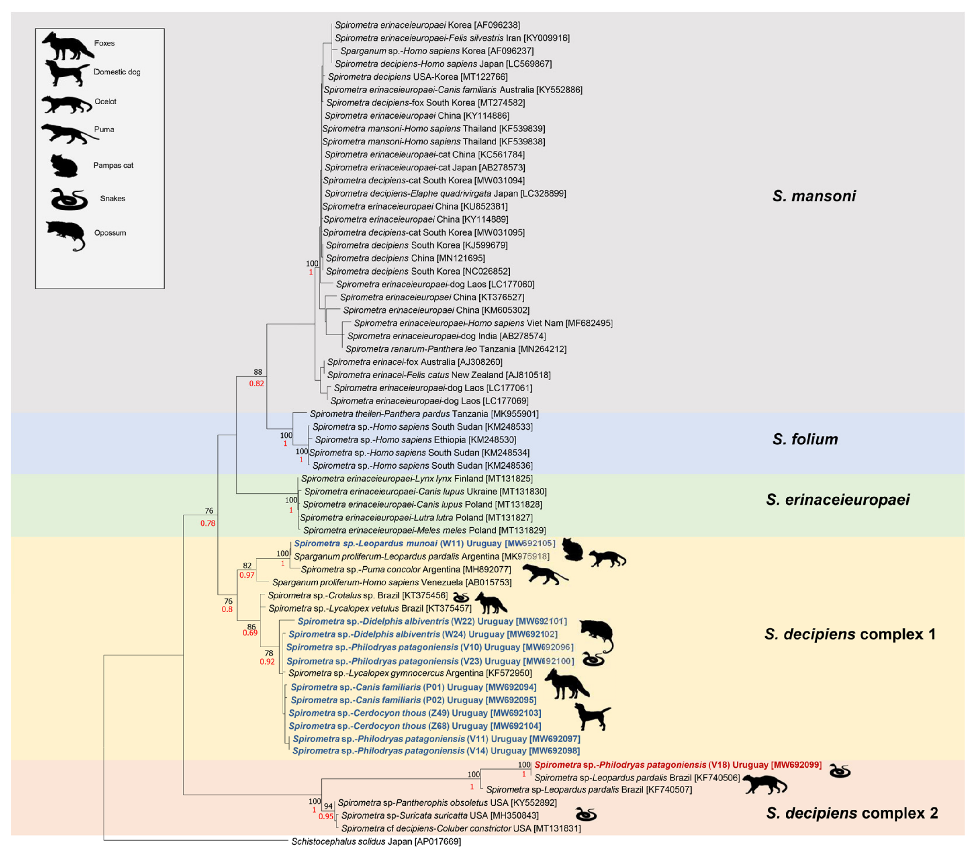 Taxonomy 01 00021 g001