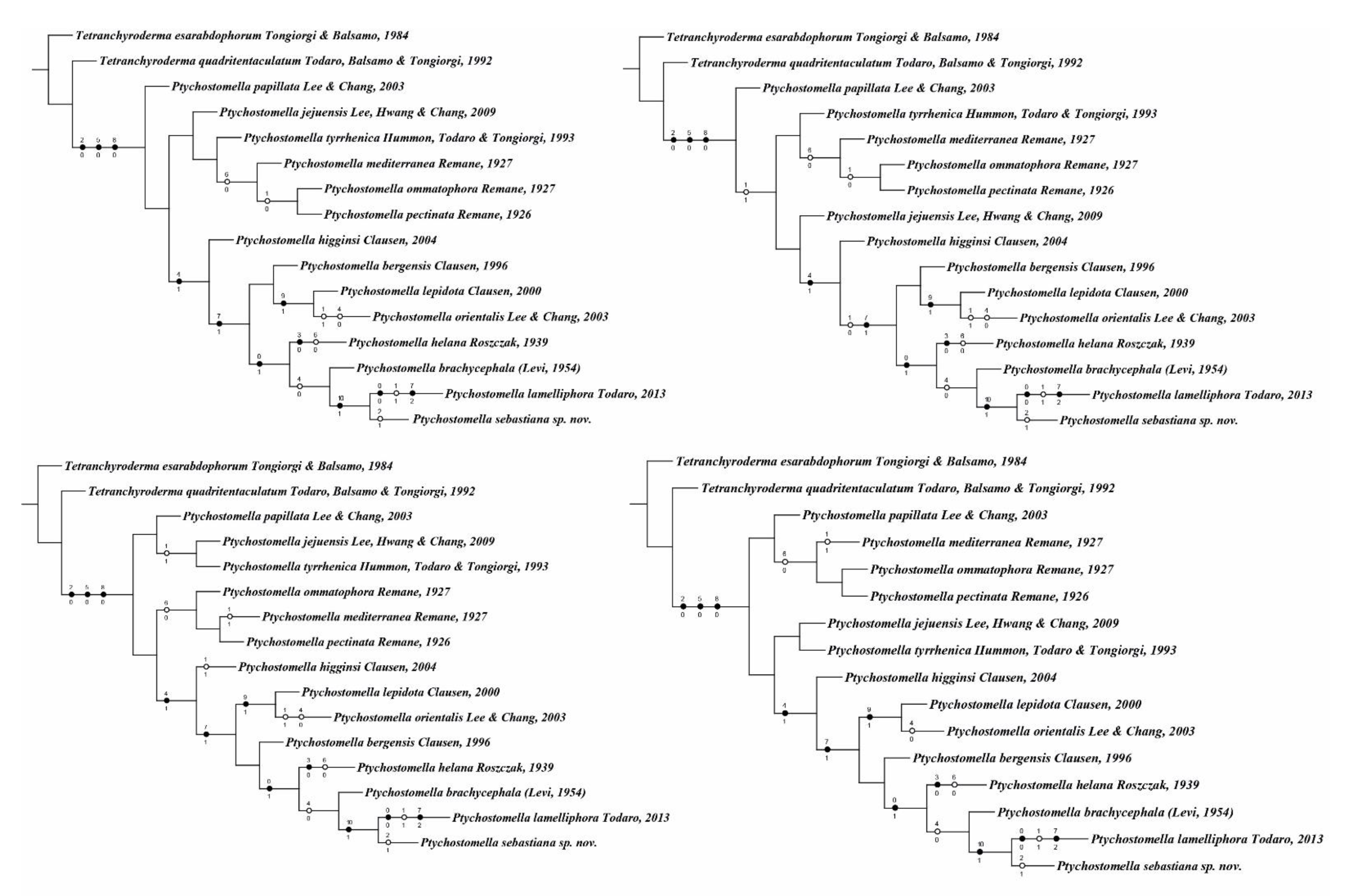 Taxonomy 01 00022 g005 Taxonomy 01 00022 g005