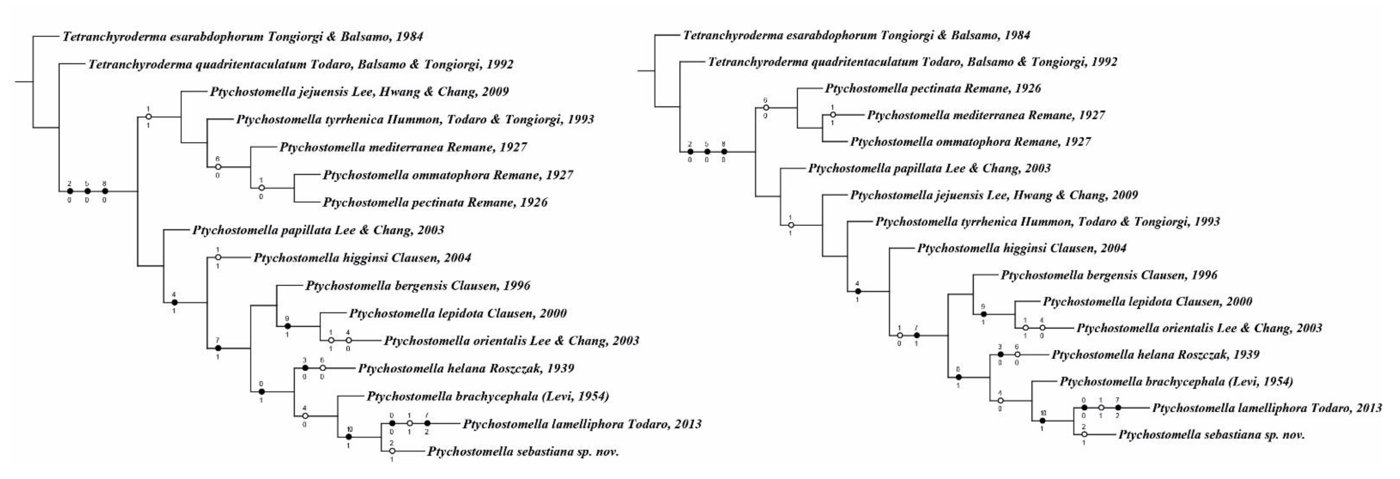 Taxonomy 01 00022 g006 Taxonomy 01 00022 g006