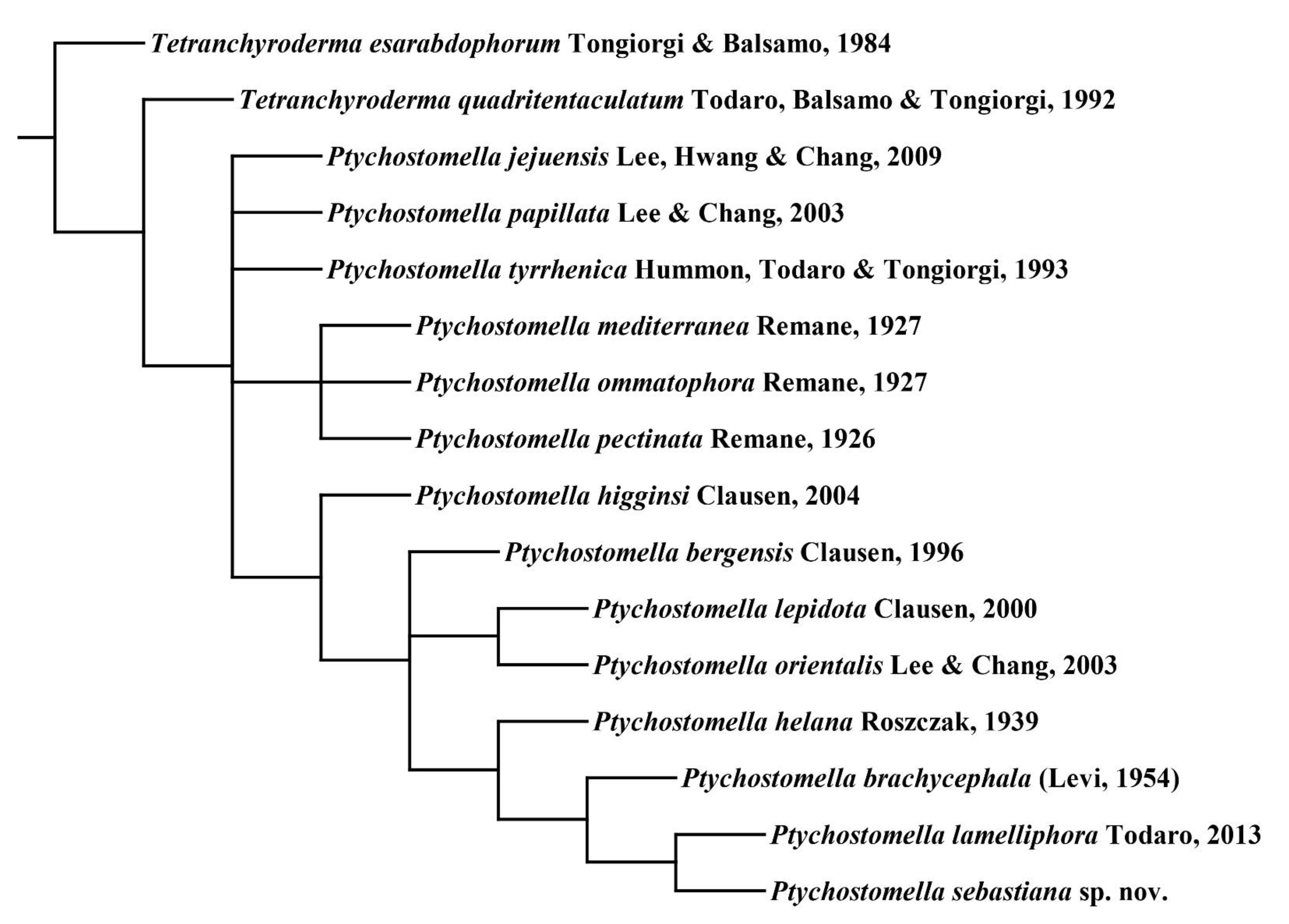 Taxonomy 01 00022 g007 Taxonomy 01 00022 g007