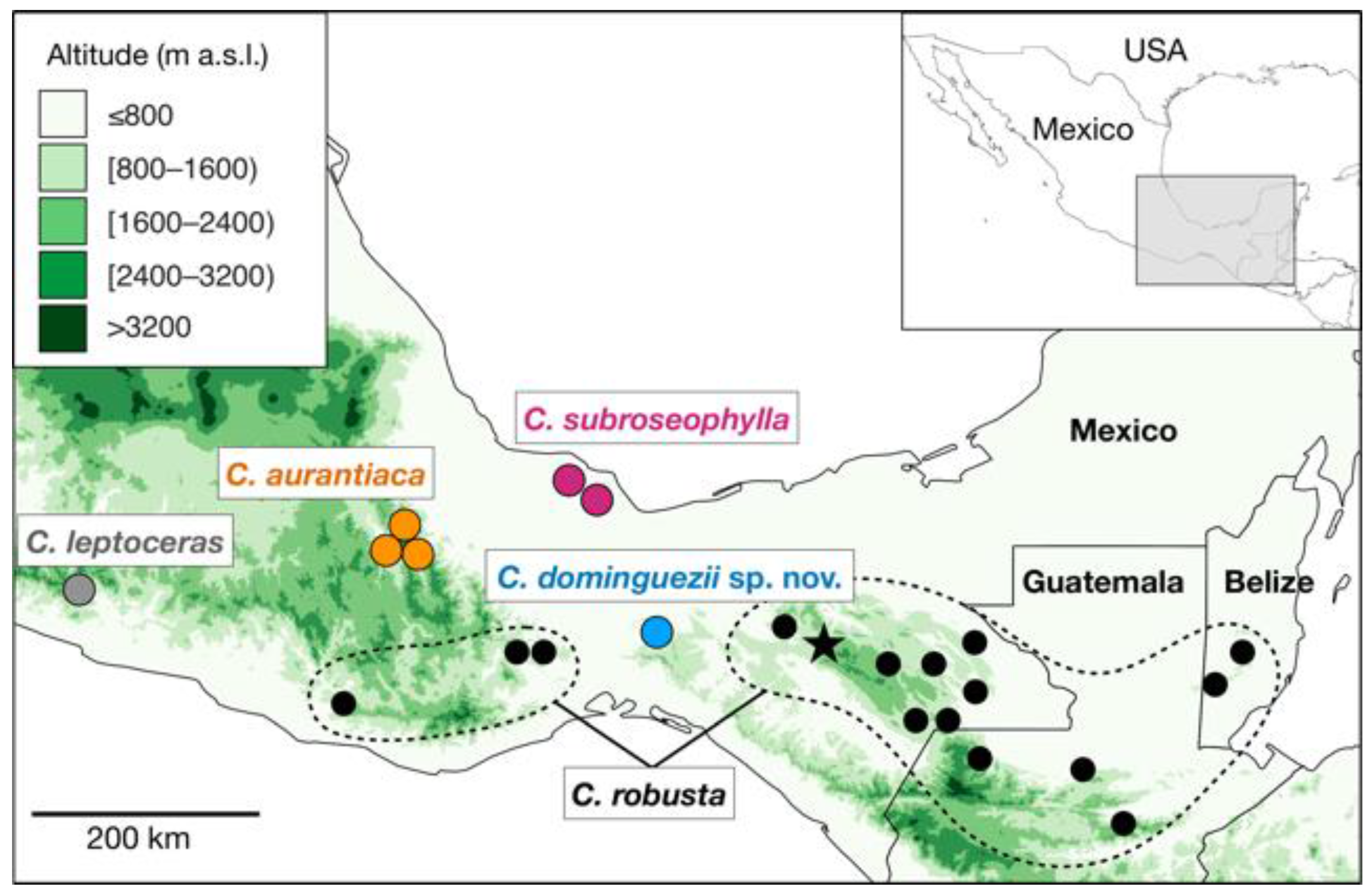 Taxonomy 01 00026 g001 550