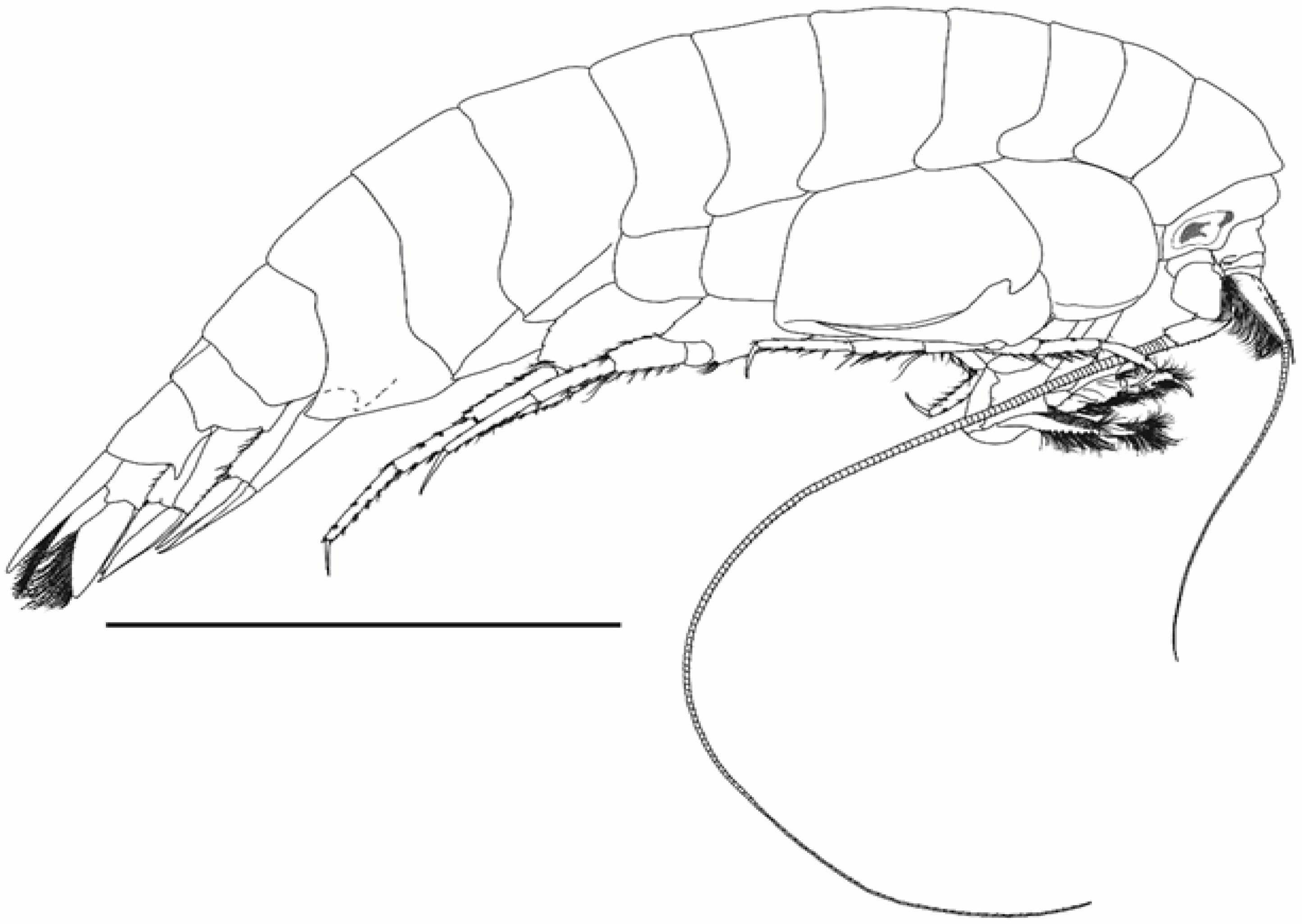 Taxonomy 01 00027 g001