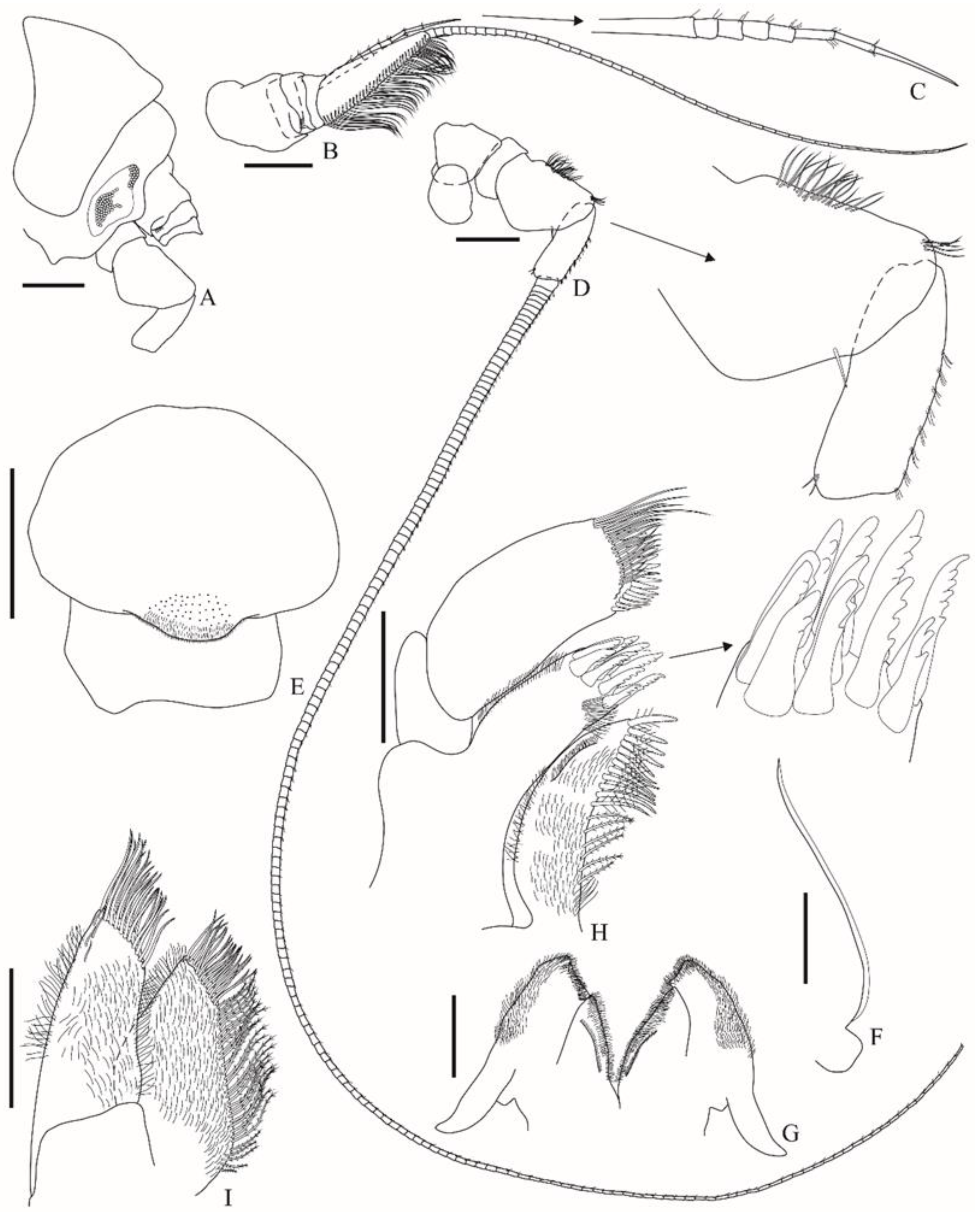 Taxonomy 01 00027 g002