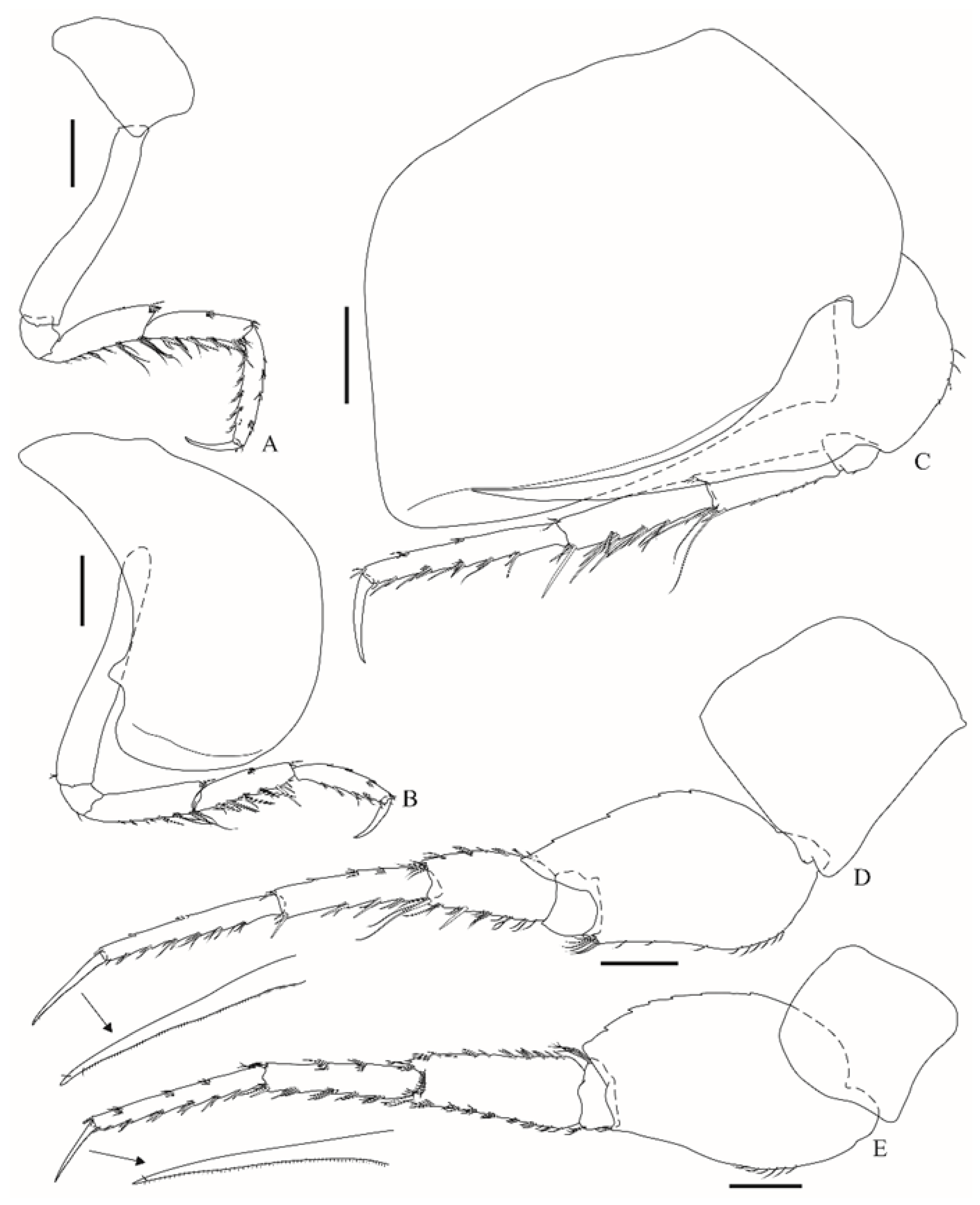Taxonomy 01 00027 g005