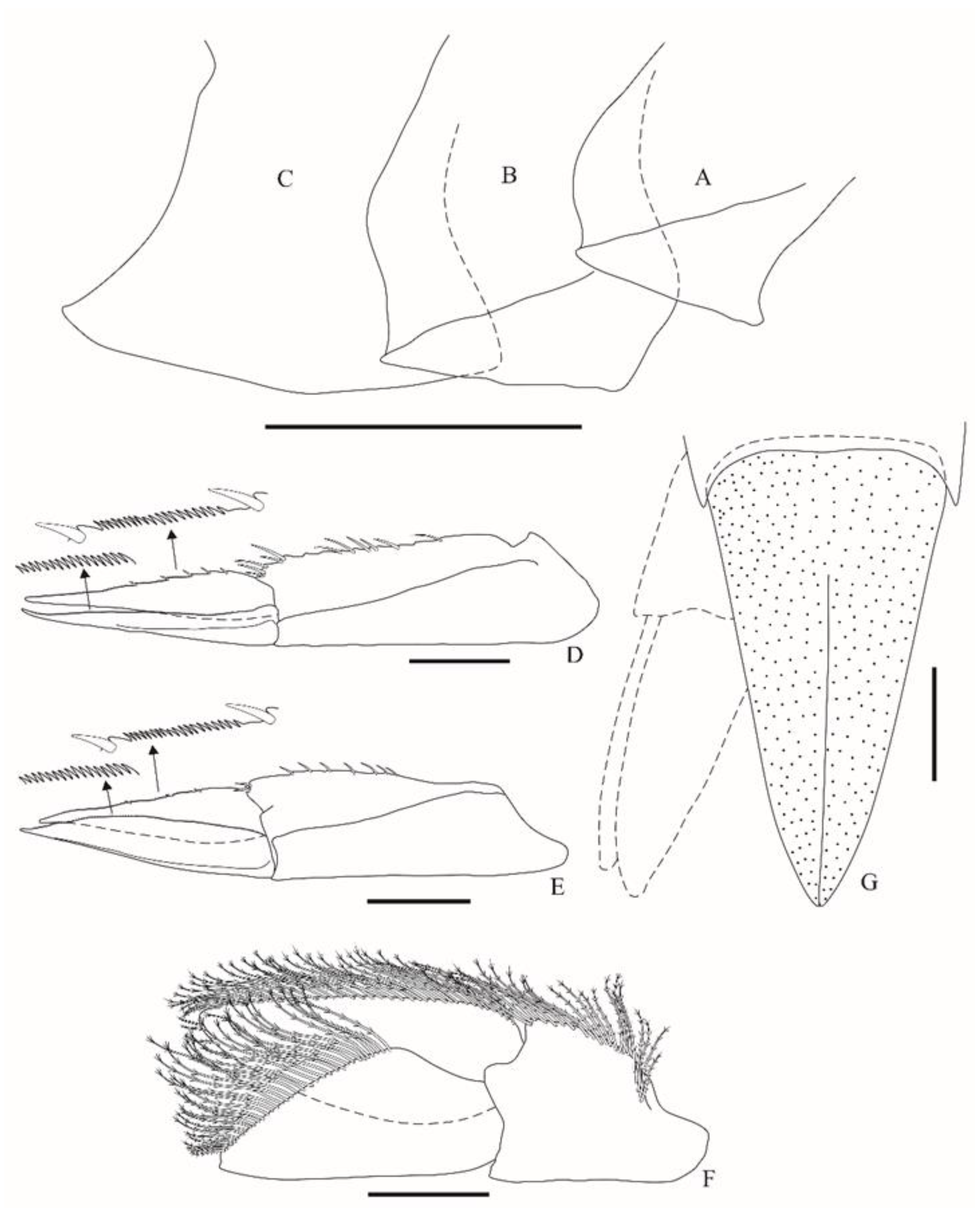 Taxonomy 01 00027 g006