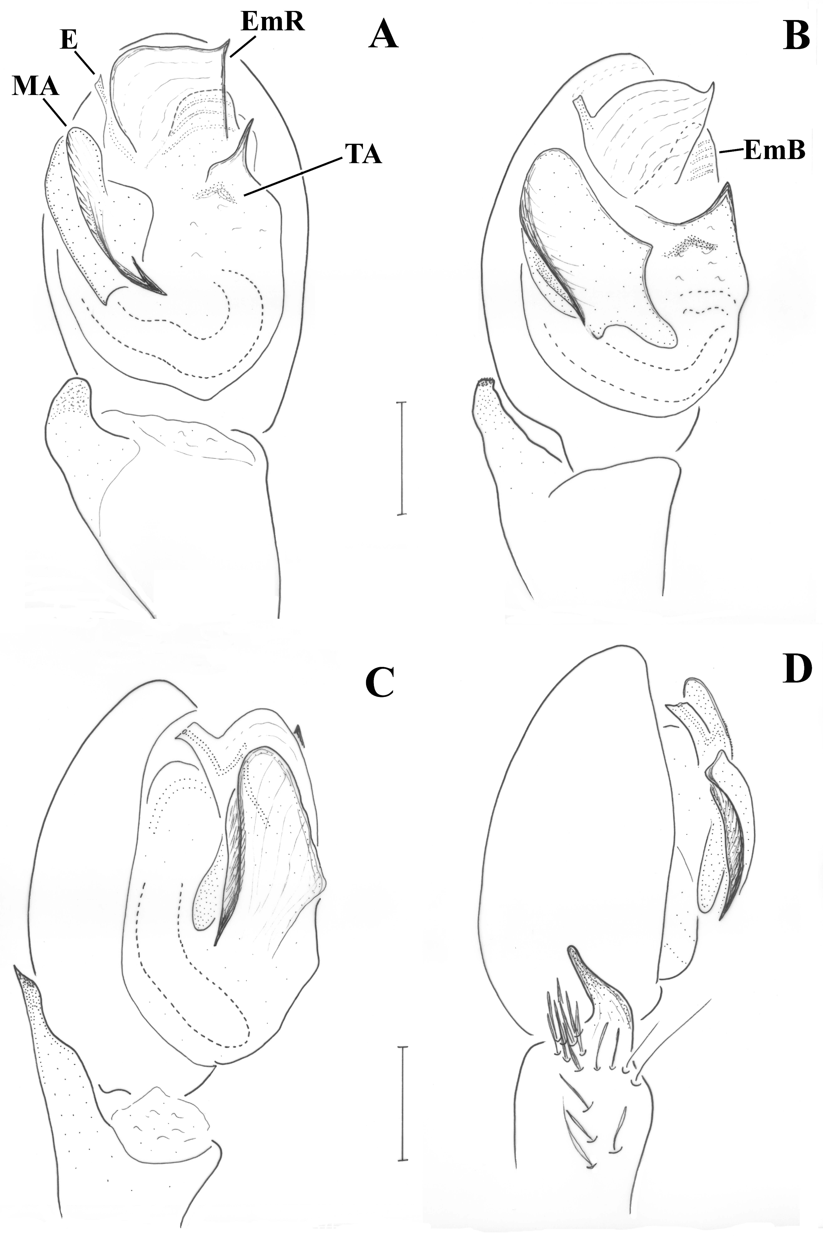 Taxonomy 01 00028 g002 550