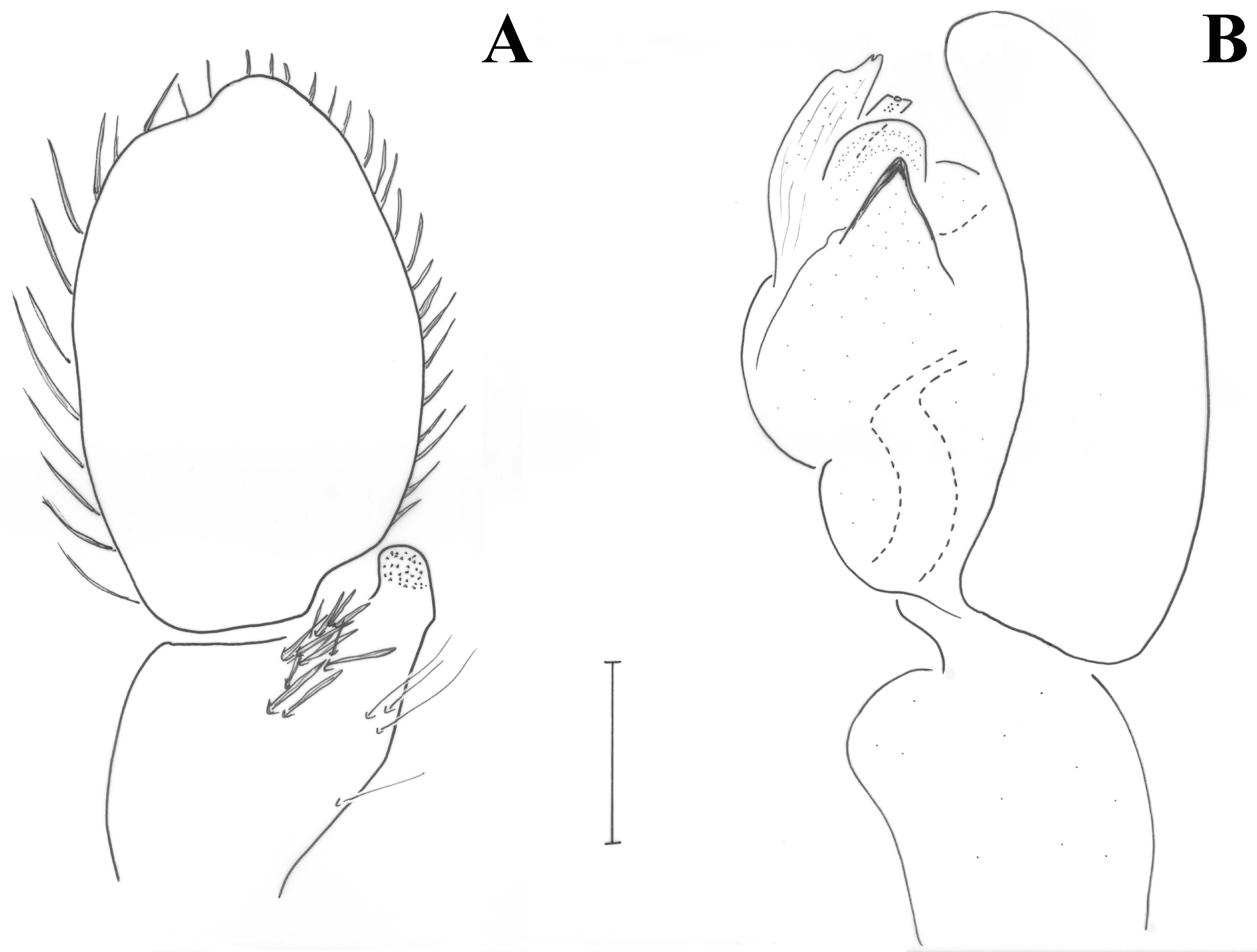 Taxonomy 01 00028 g003 550