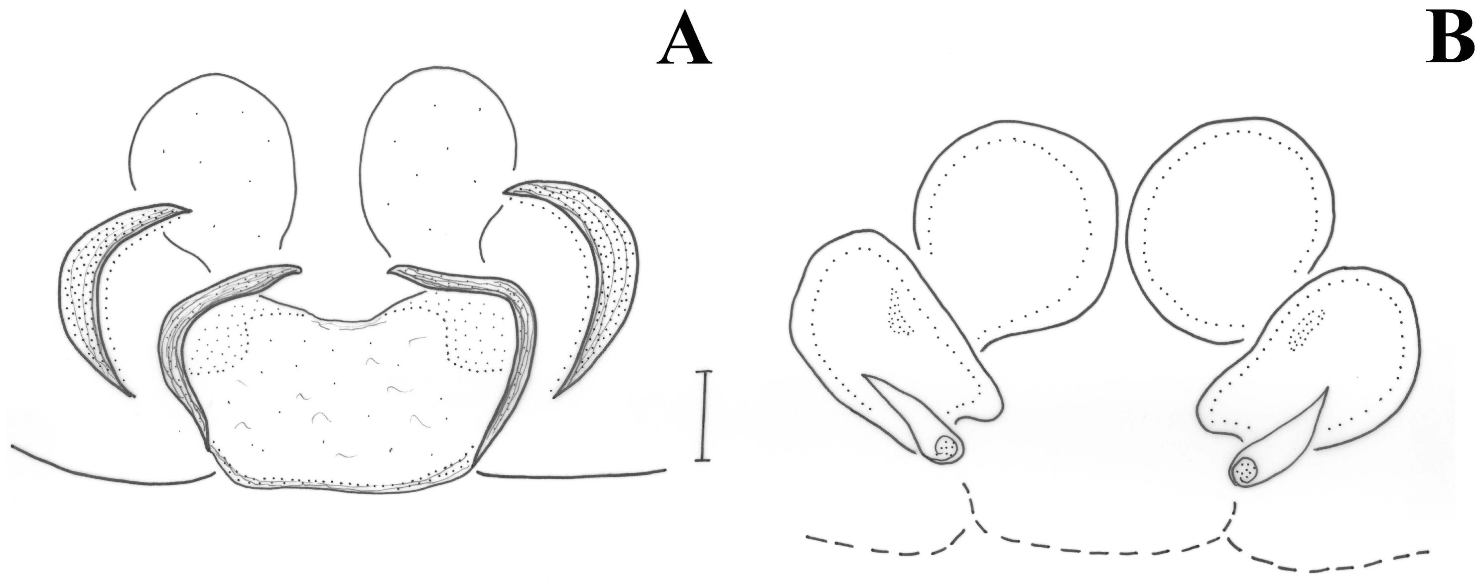 Taxonomy 01 00028 g004 550