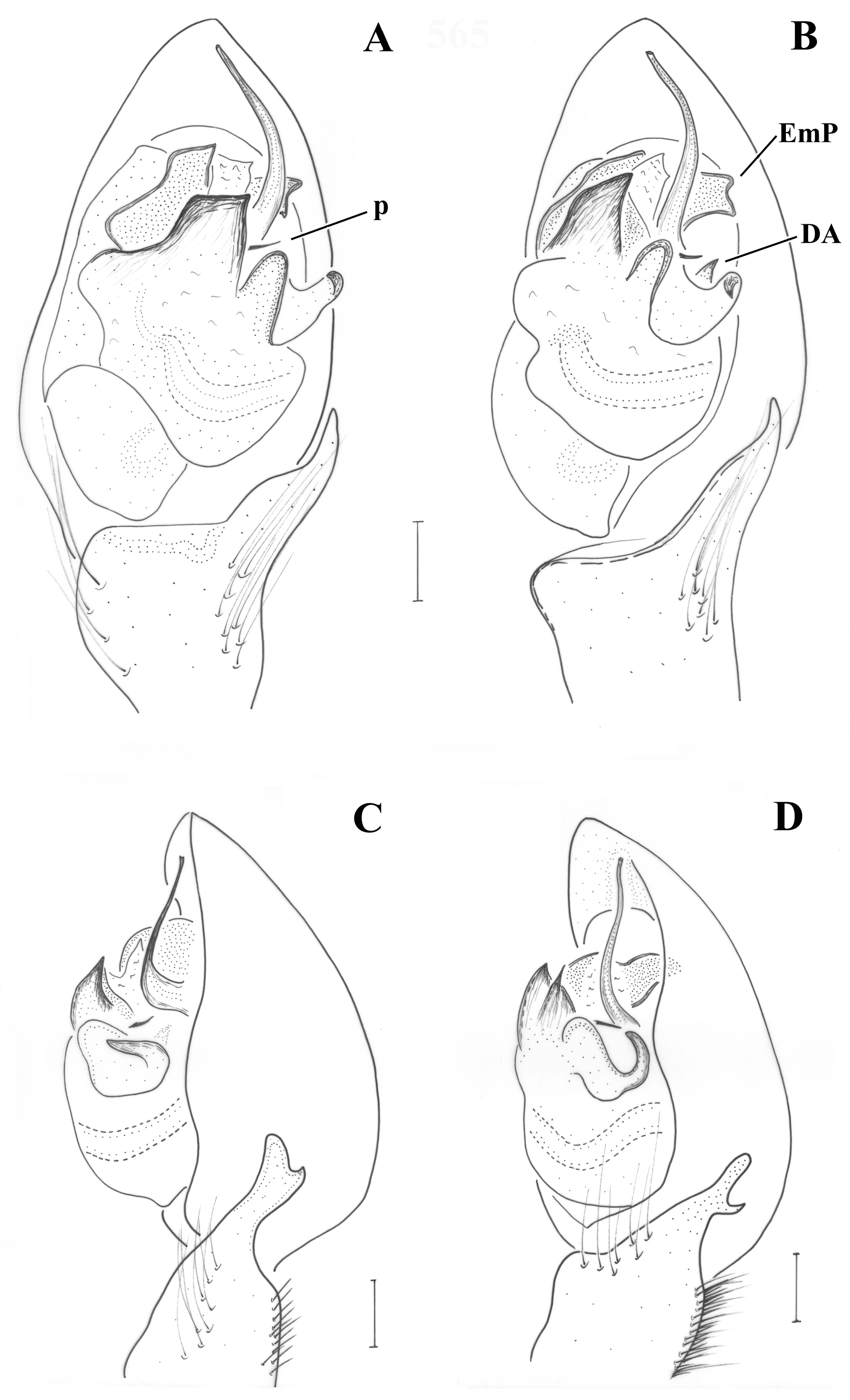 Taxonomy 01 00028 g006 550