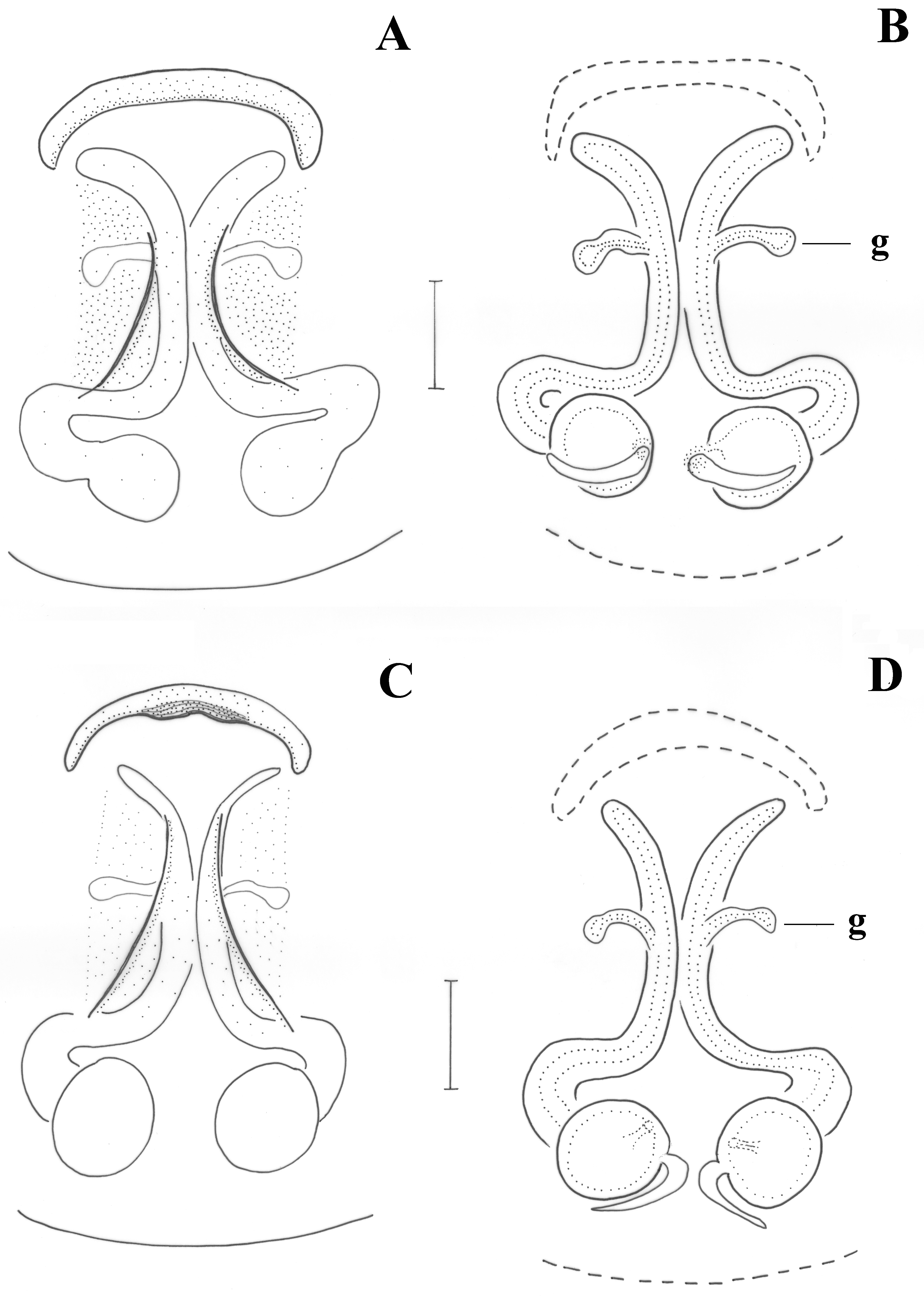 Taxonomy 01 00028 g007 550