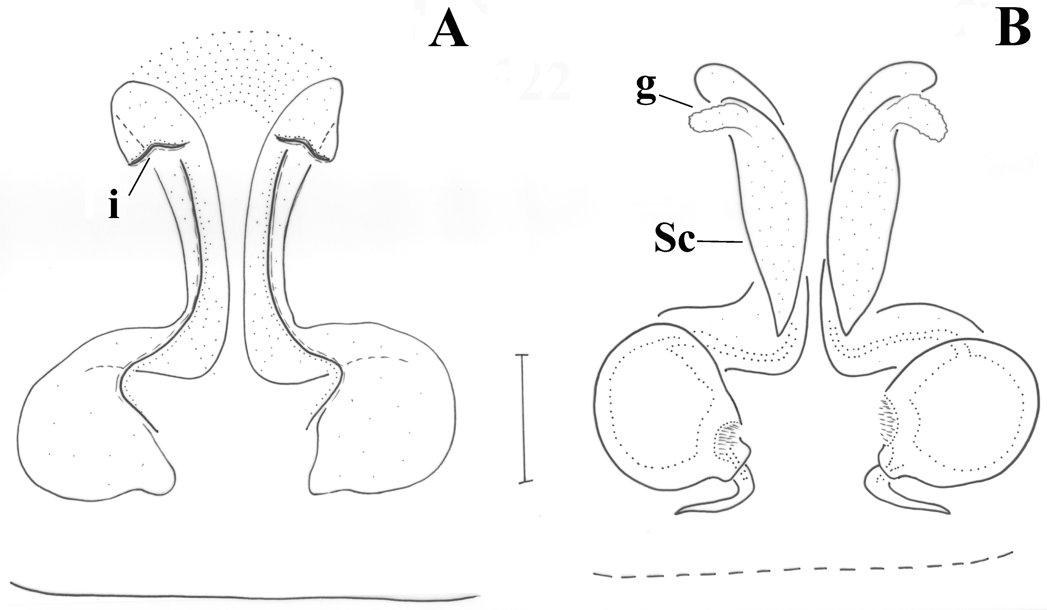 Taxonomy 01 00028 g008 550