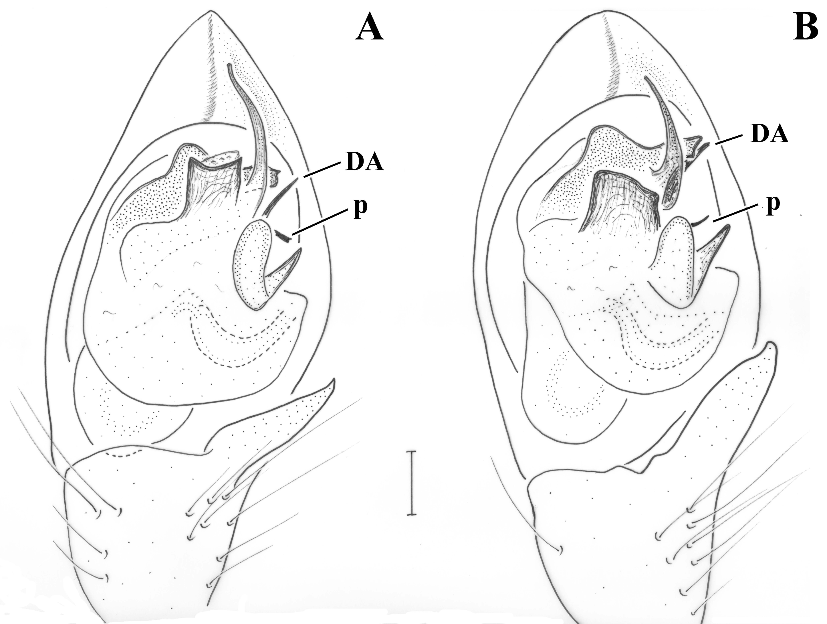 Taxonomy 01 00028 g009 550