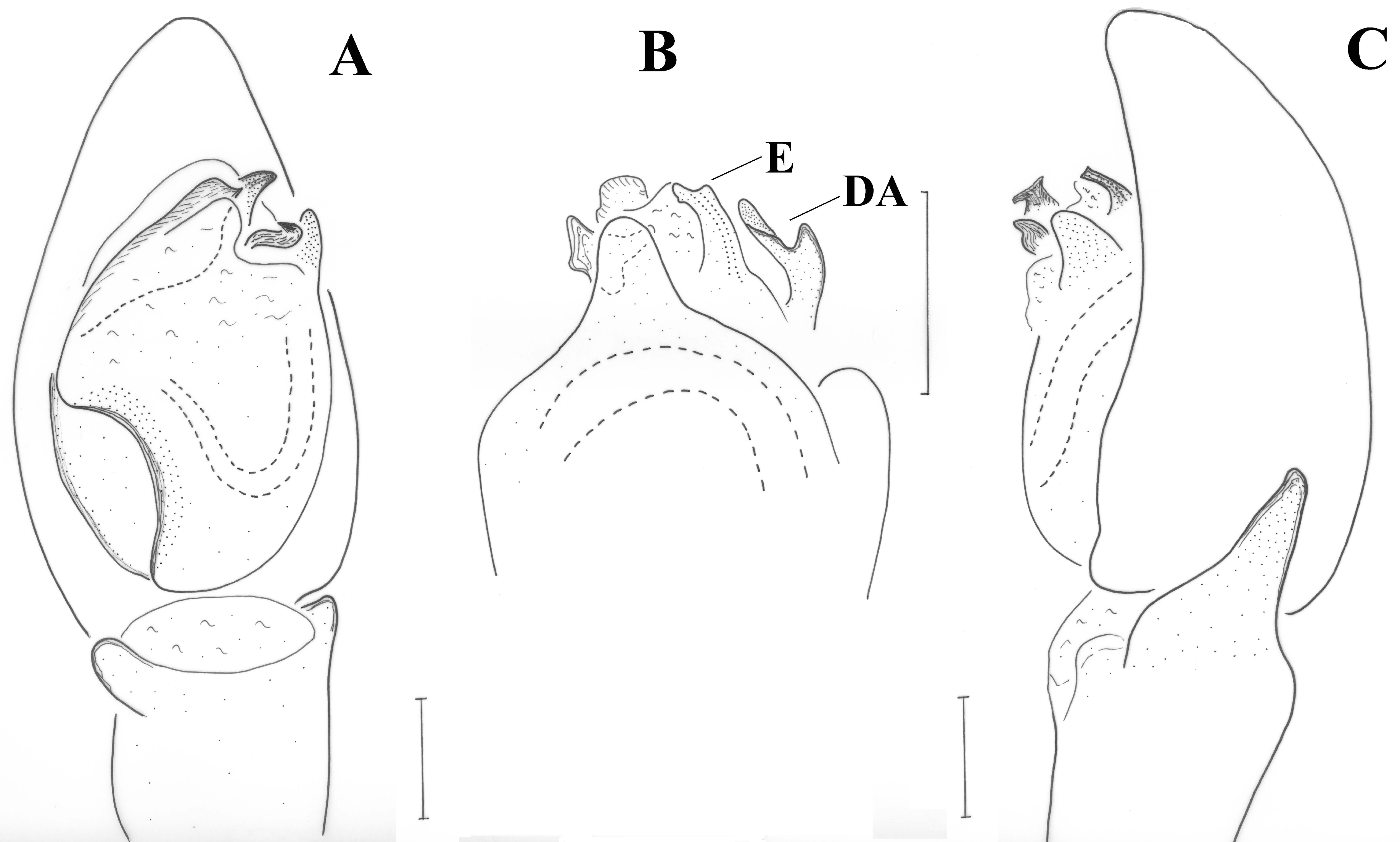 Taxonomy 01 00028 g010 550