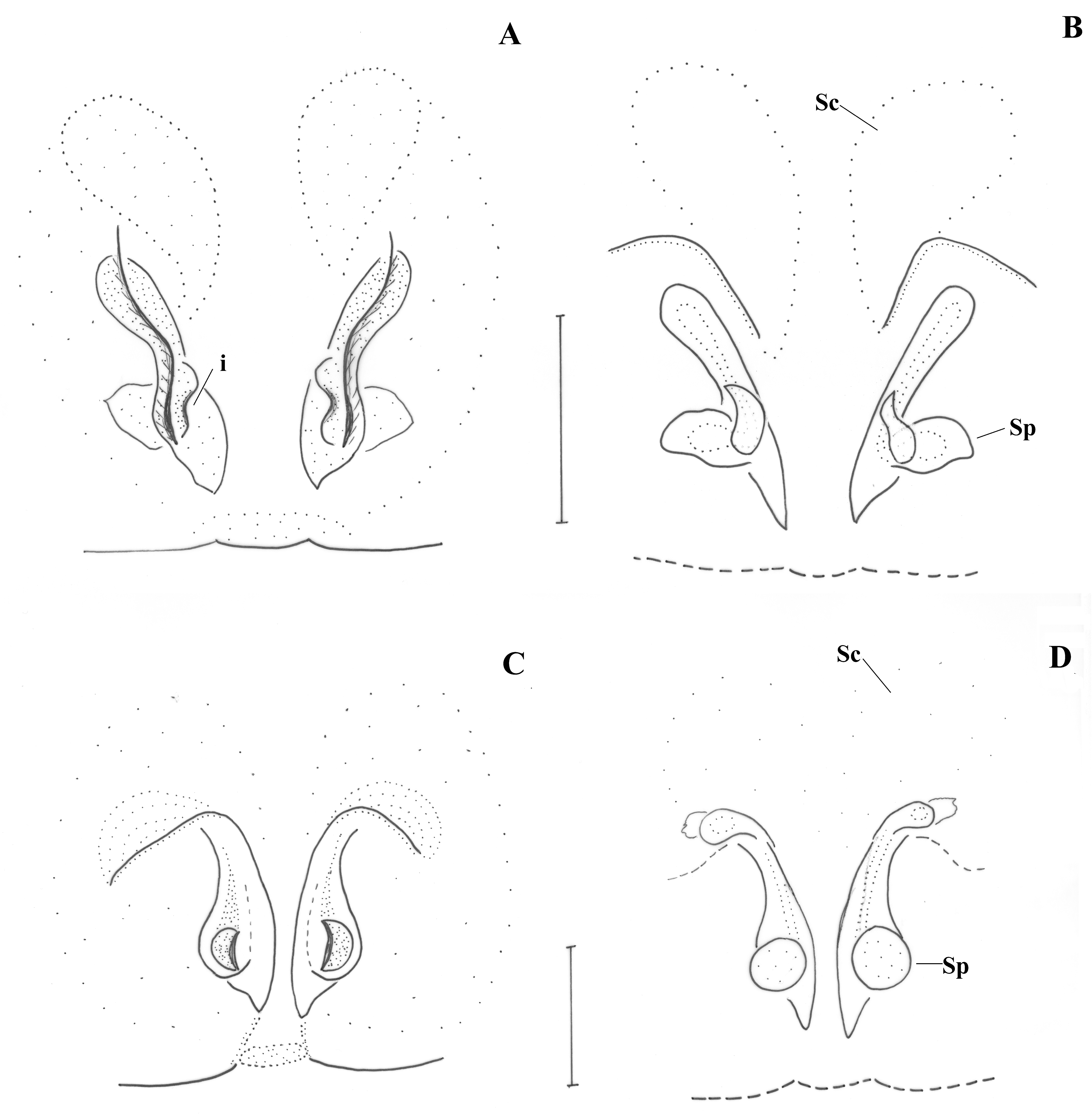 Taxonomy 01 00028 g015 550